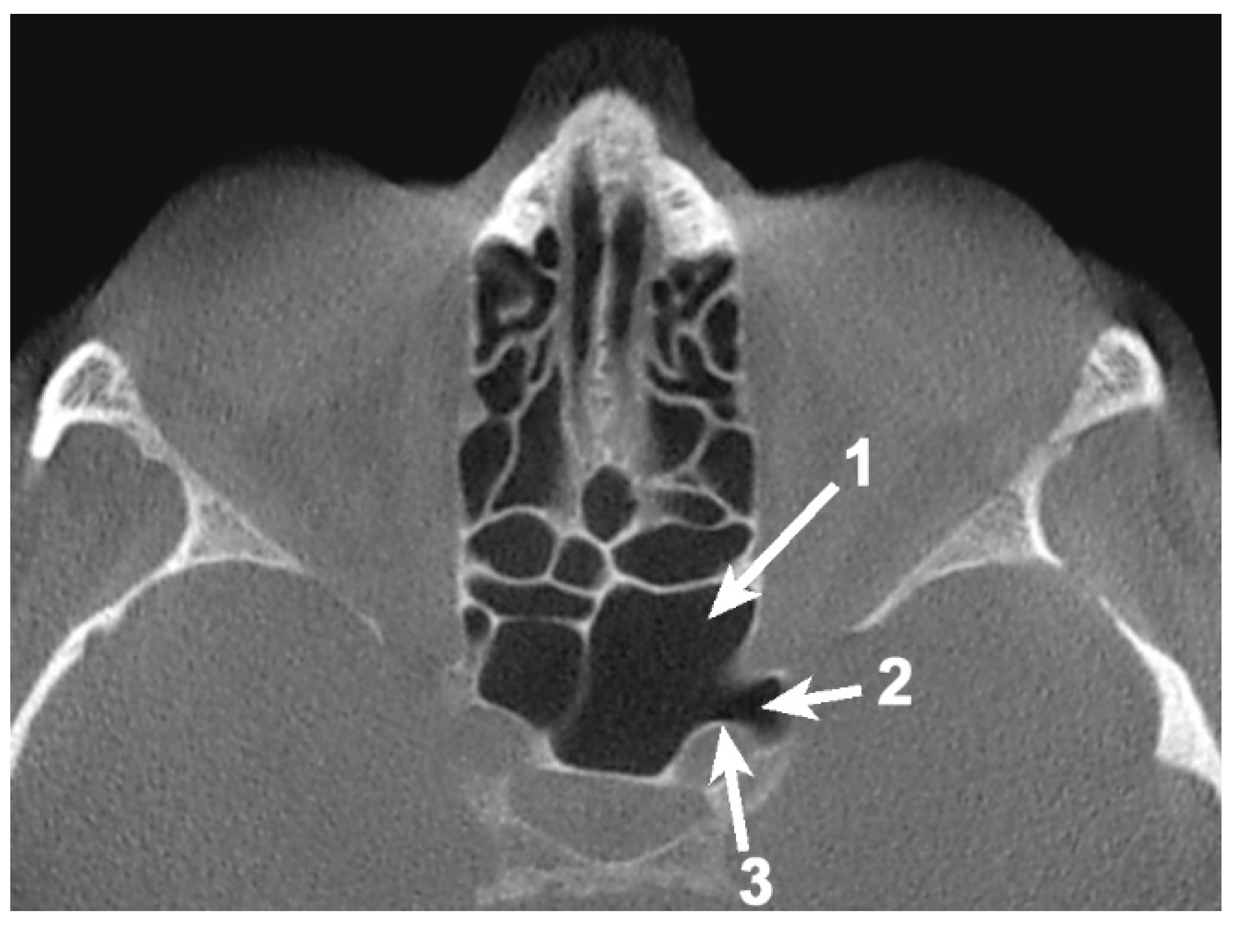 Applsci 11 05797 g001