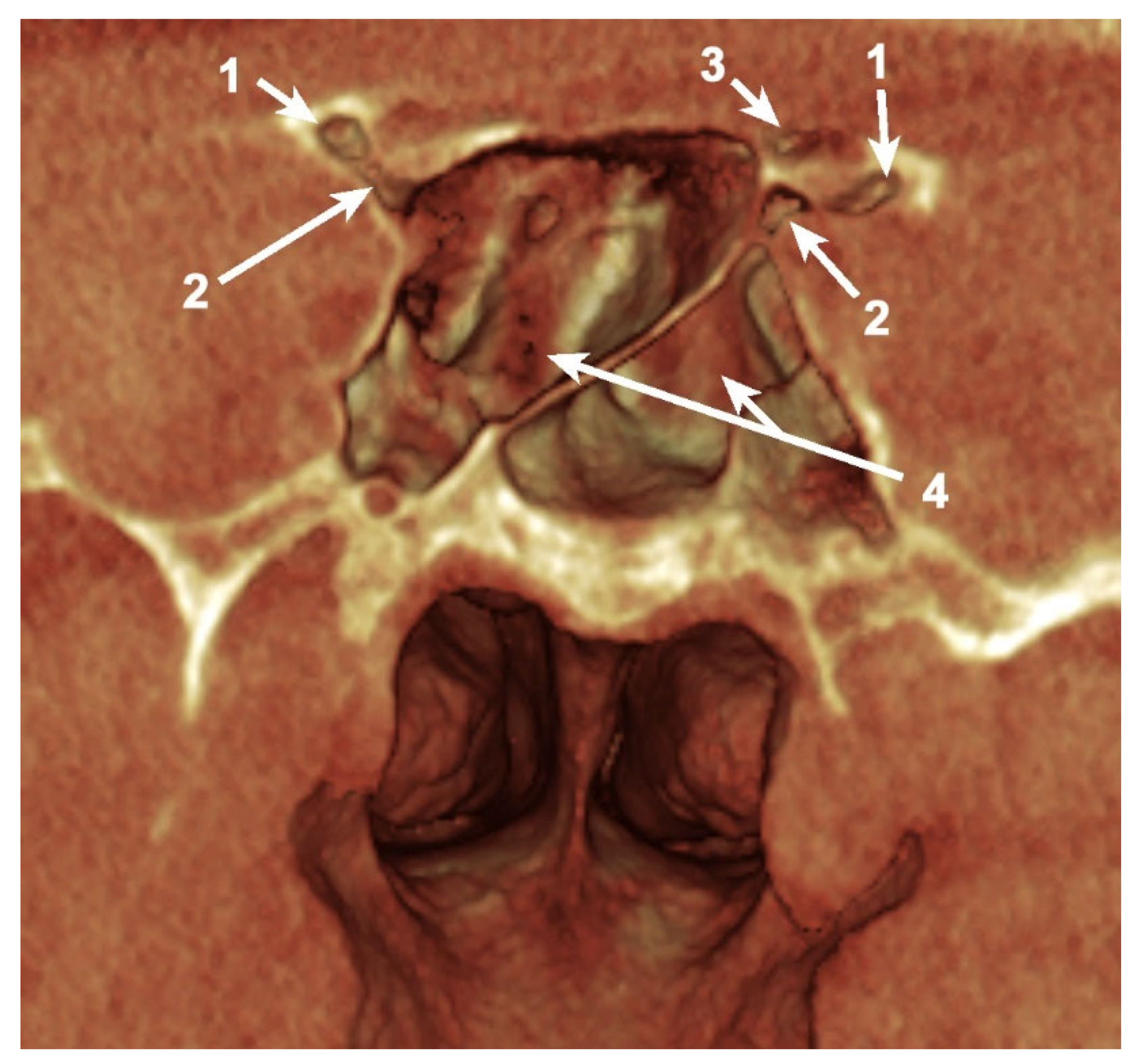 Applsci 11 05797 g002