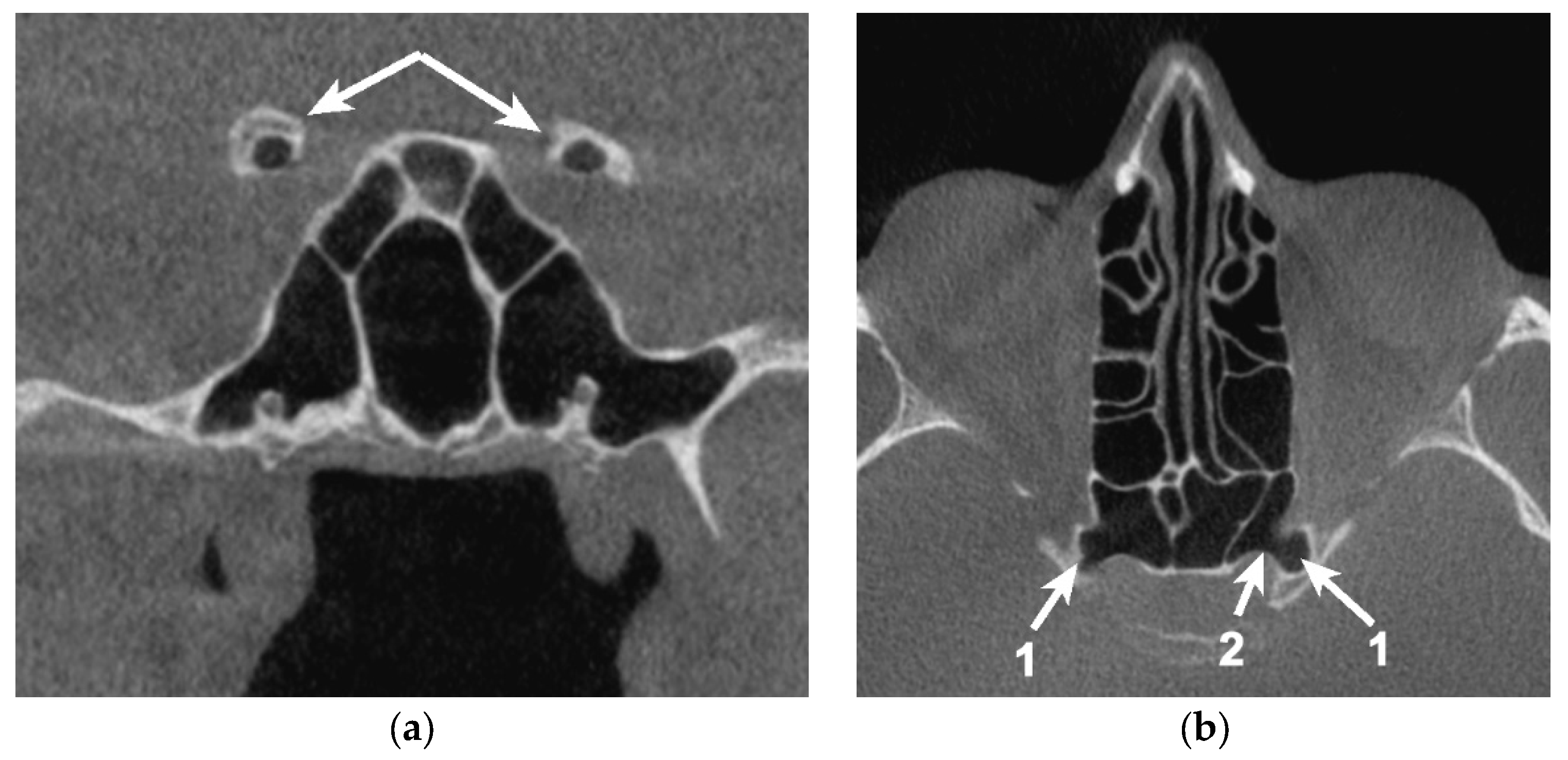 Applsci 11 05797 g004