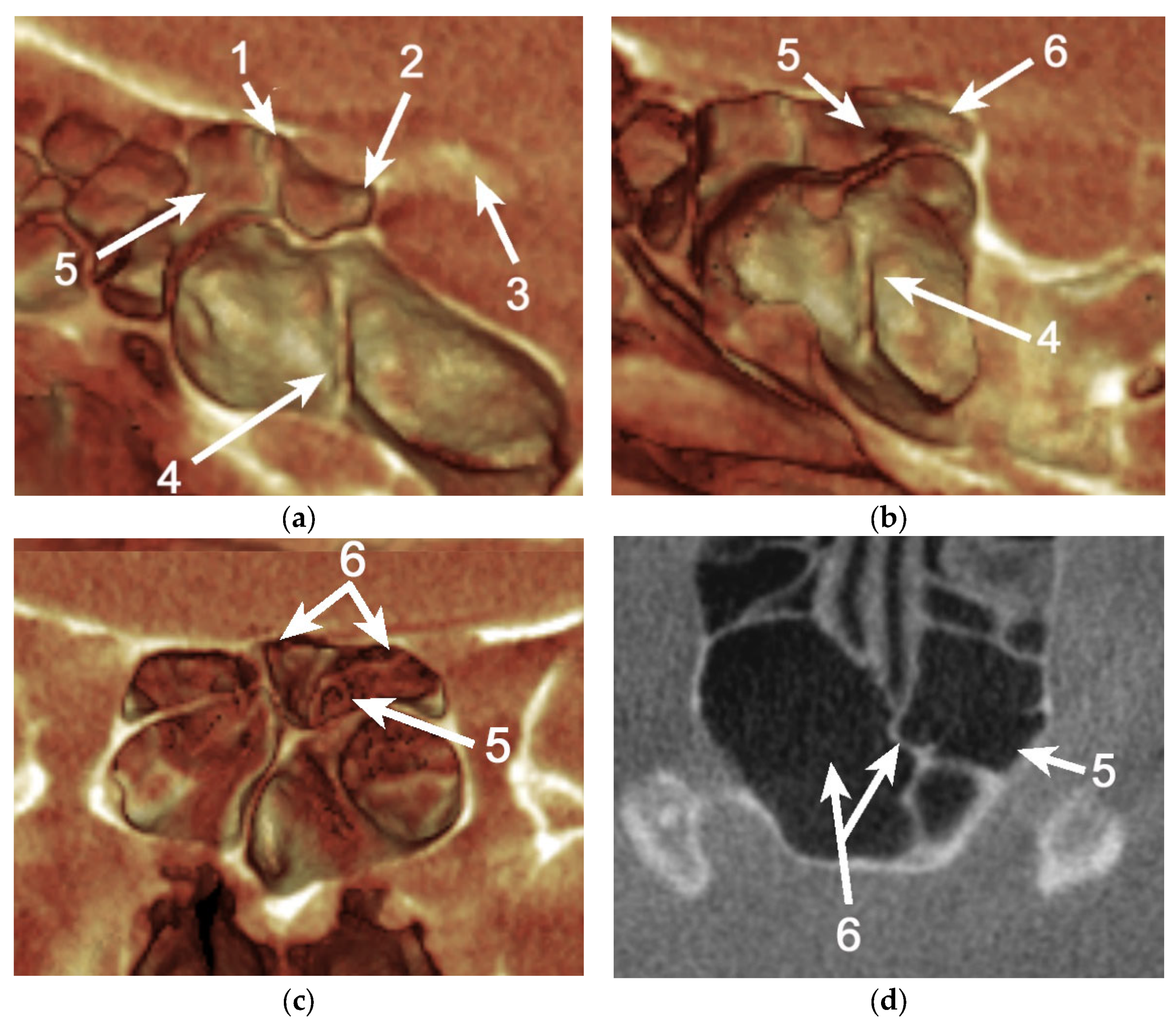 Applsci 11 05797 g005