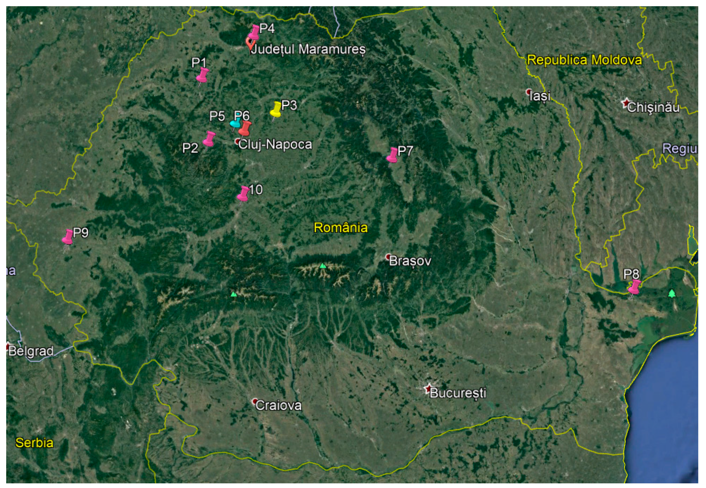 Applsci 11 05816 g001