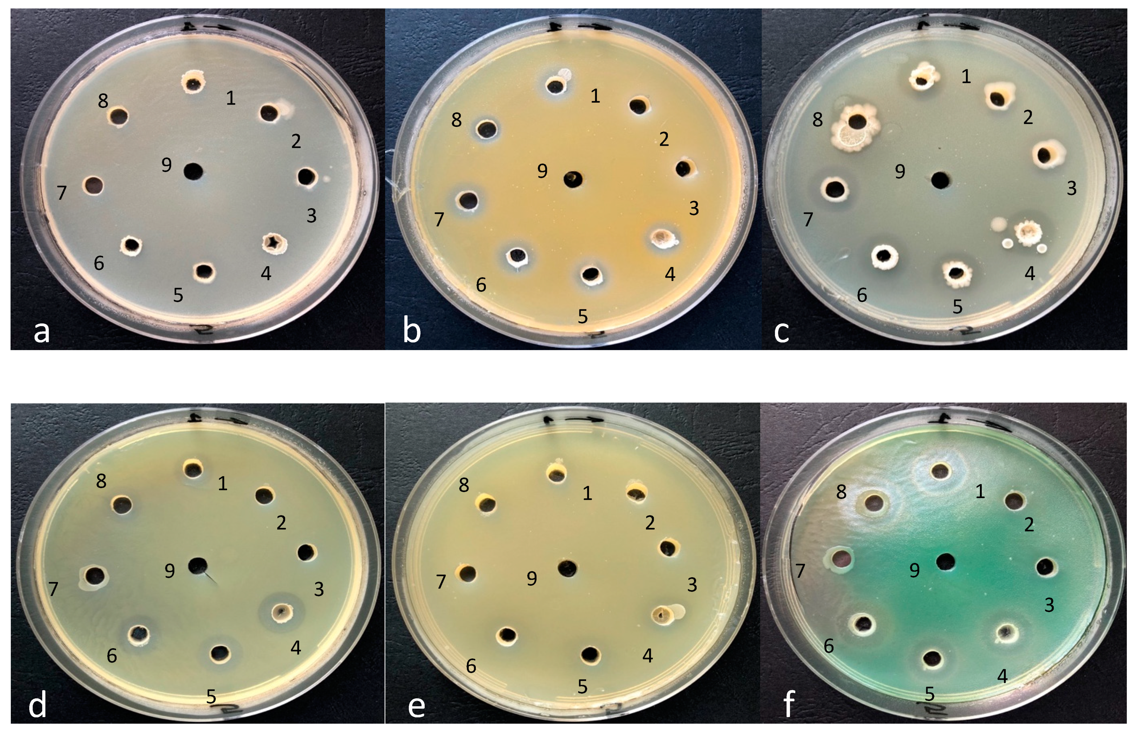 Applsci 11 05816 g007