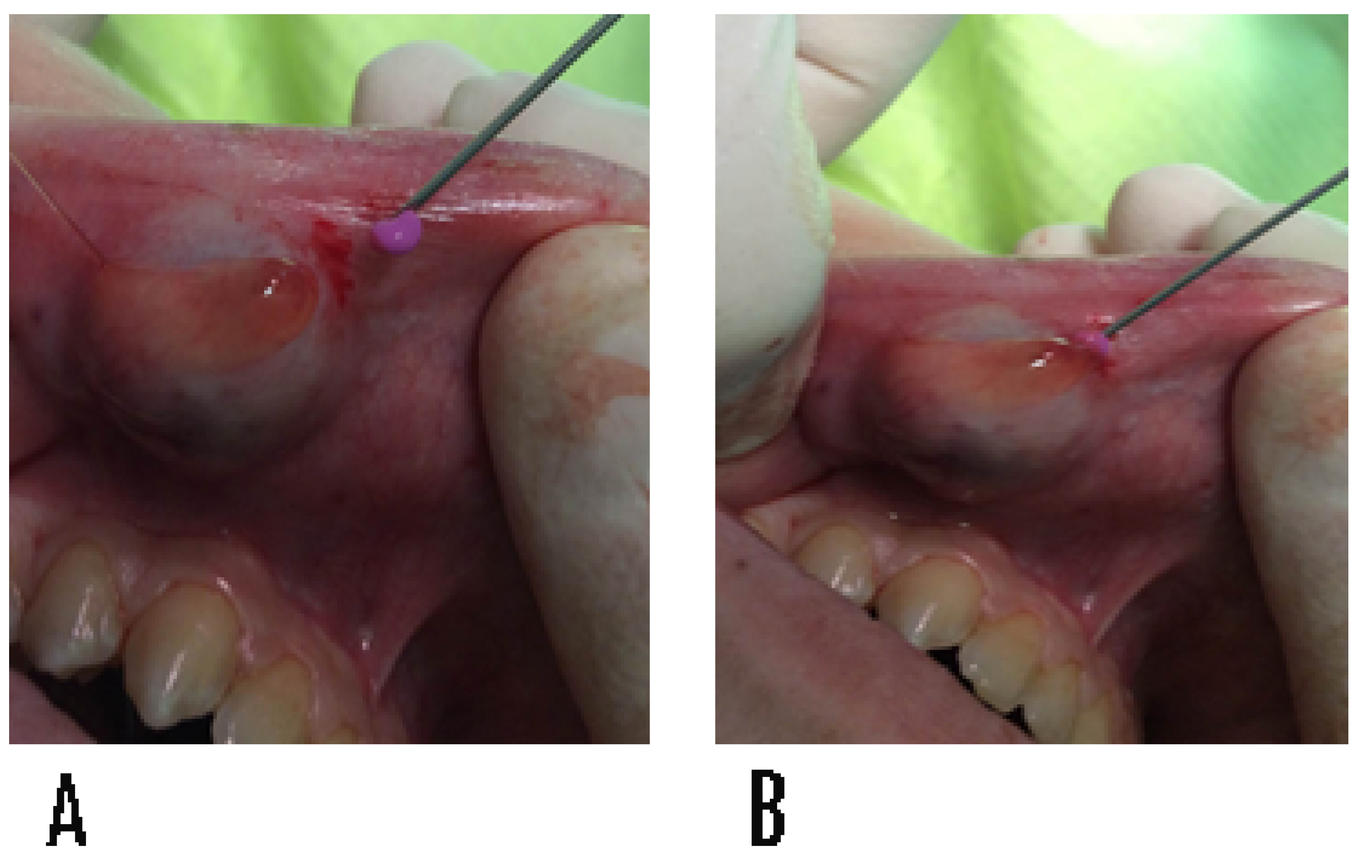 Applsci 11 05819 g002