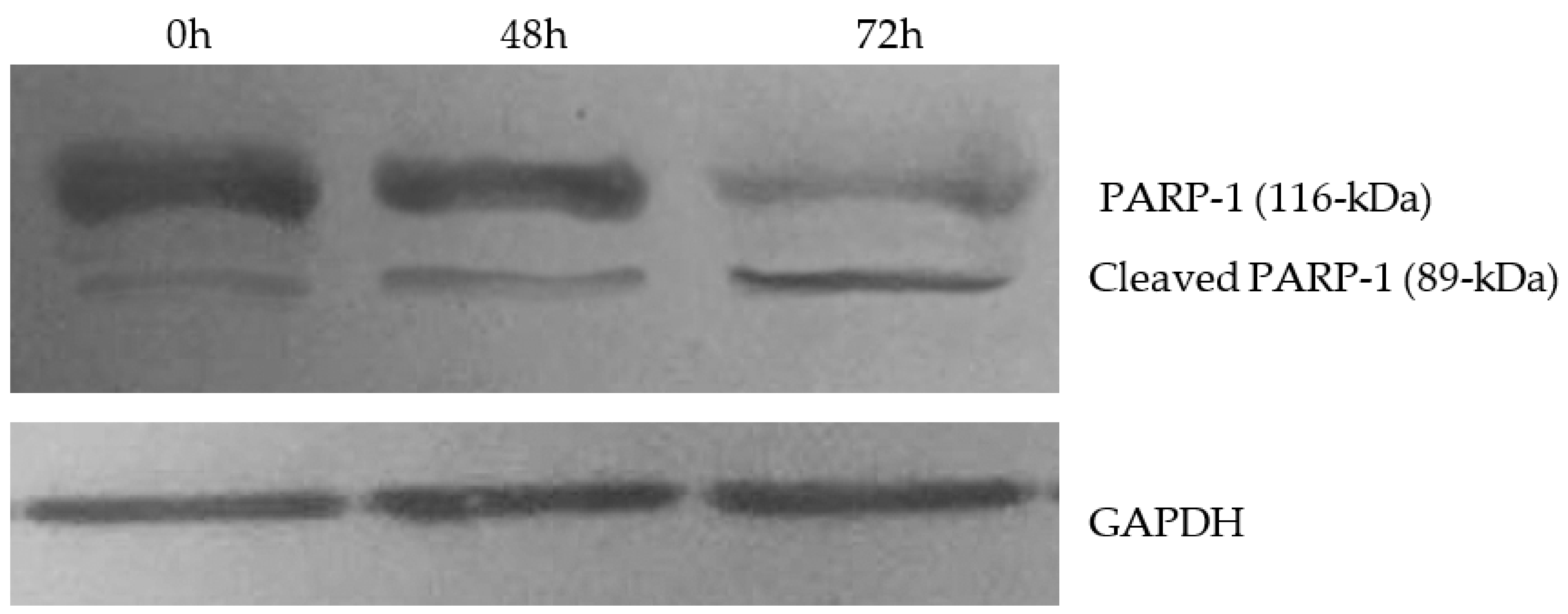 Applsci 11 05823 g005