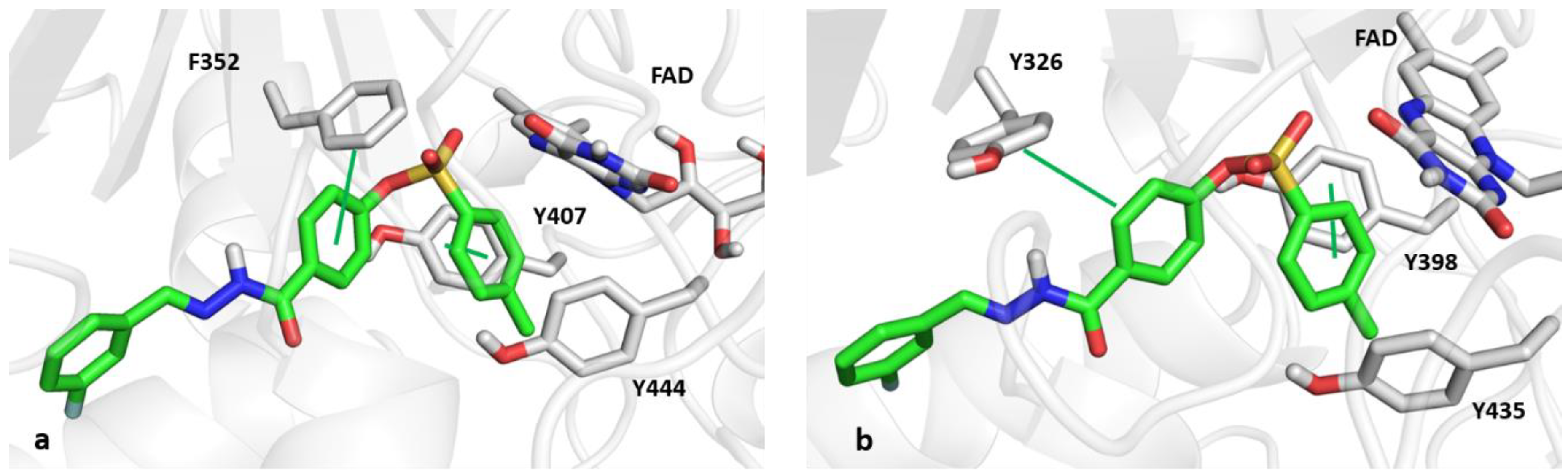 Applsci 11 05830 g005
