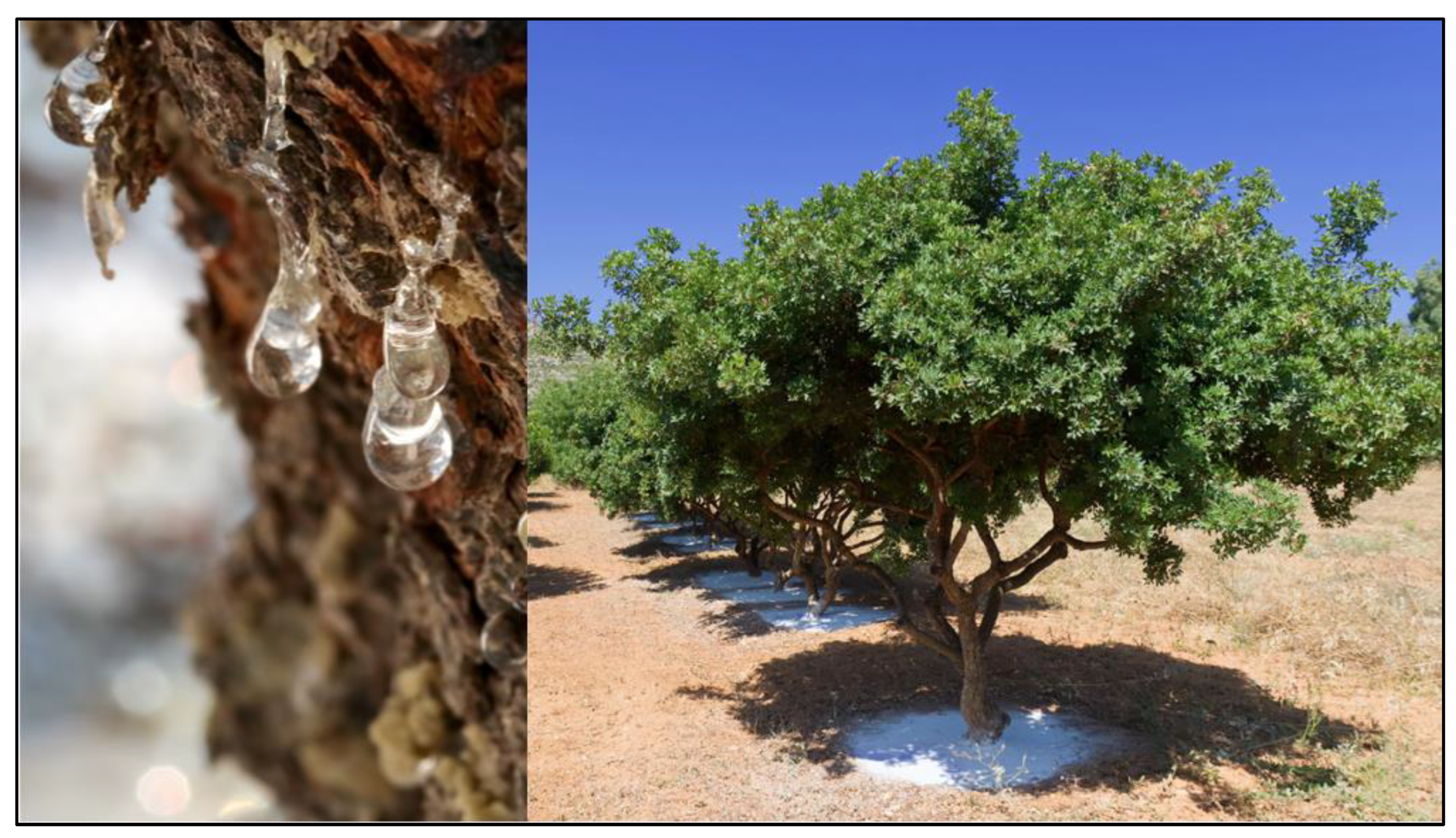 Applsci 11 05873 g002