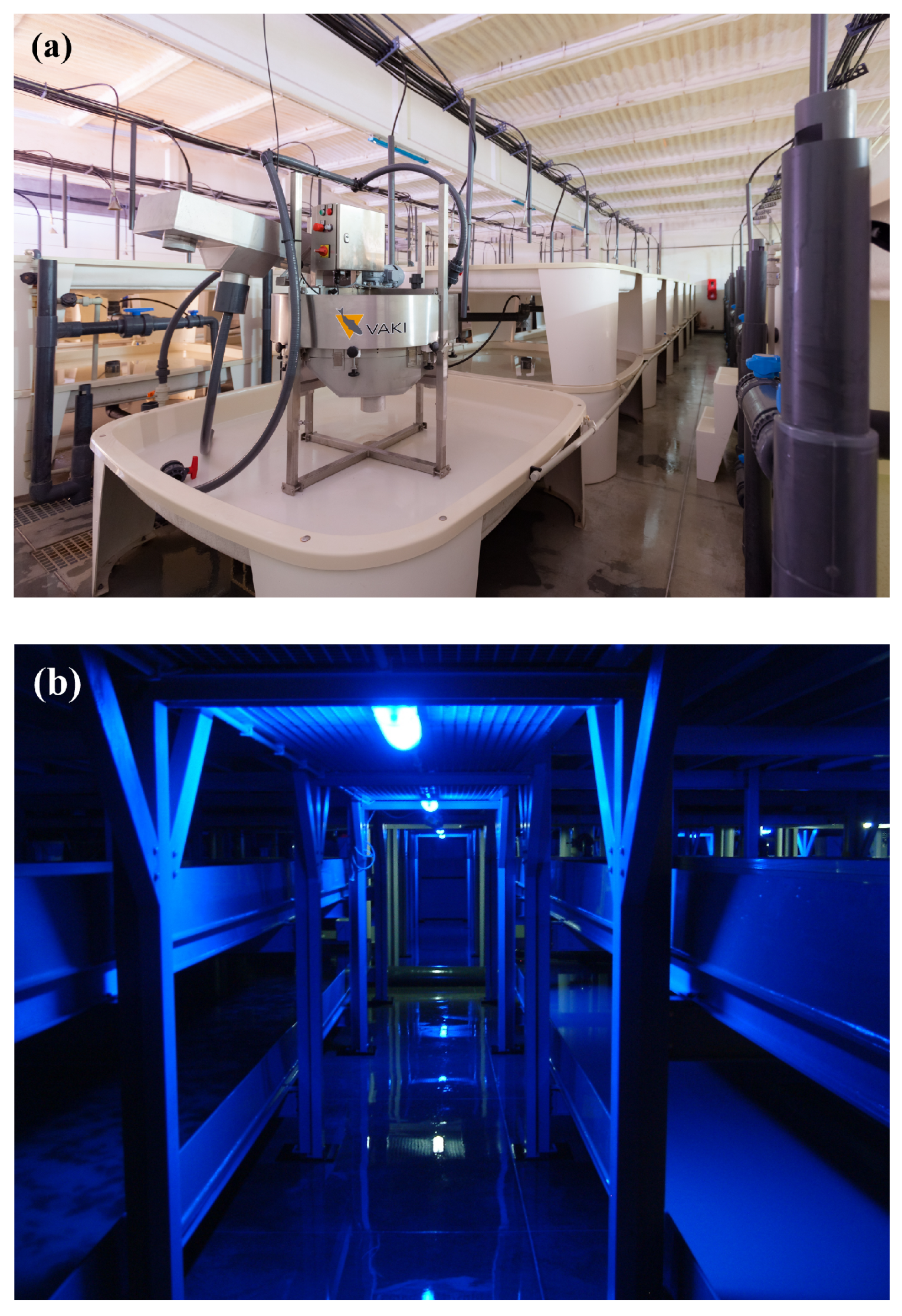 Applsci 11 05875 g001