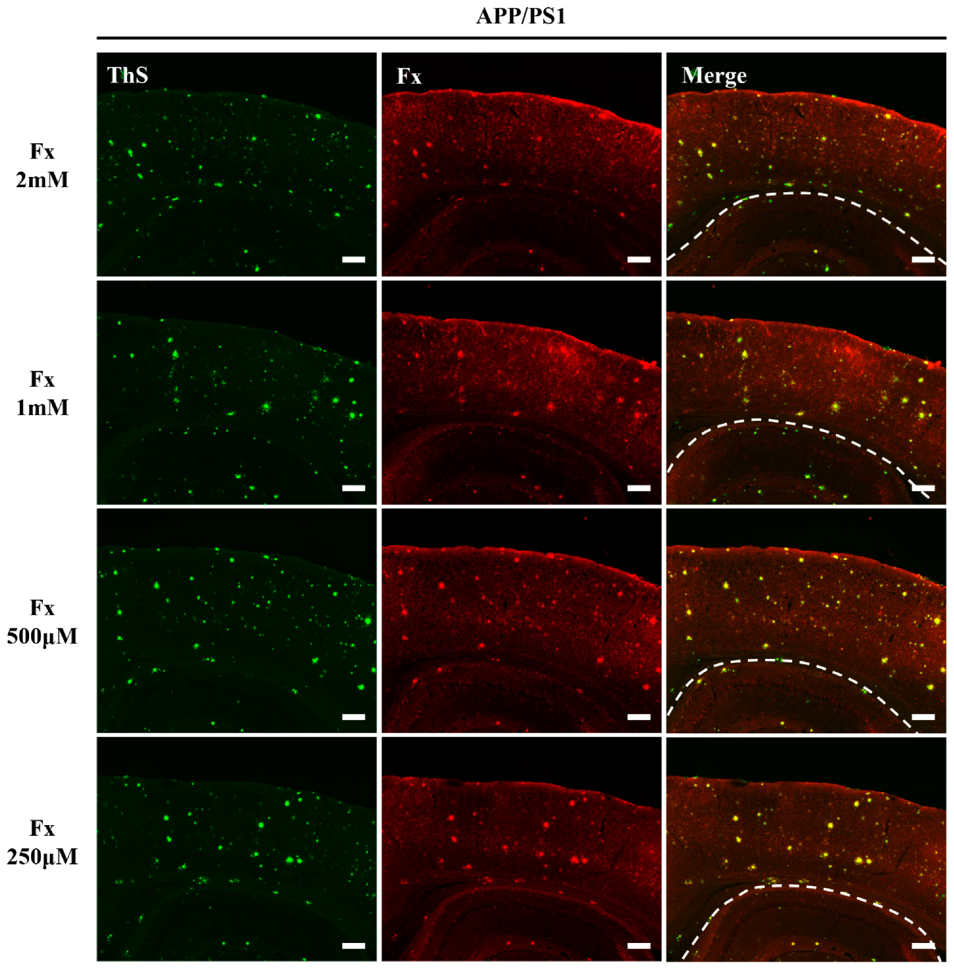Applsci 11 05878 g005