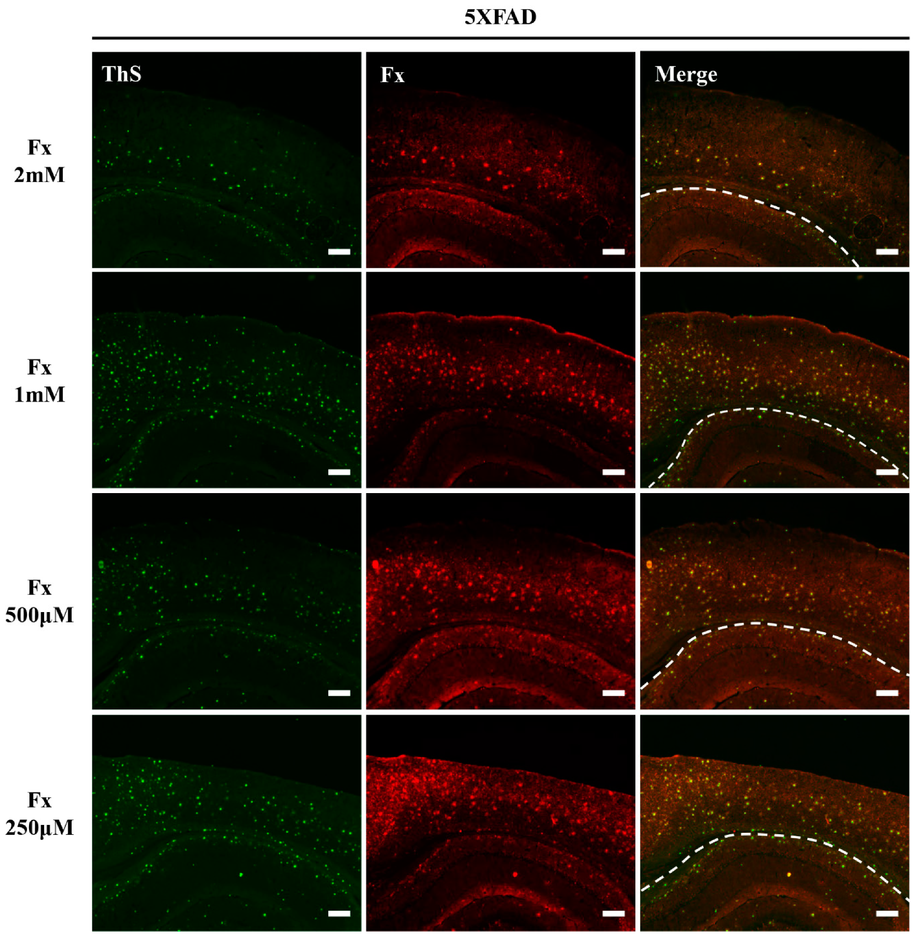 Applsci 11 05878 g006