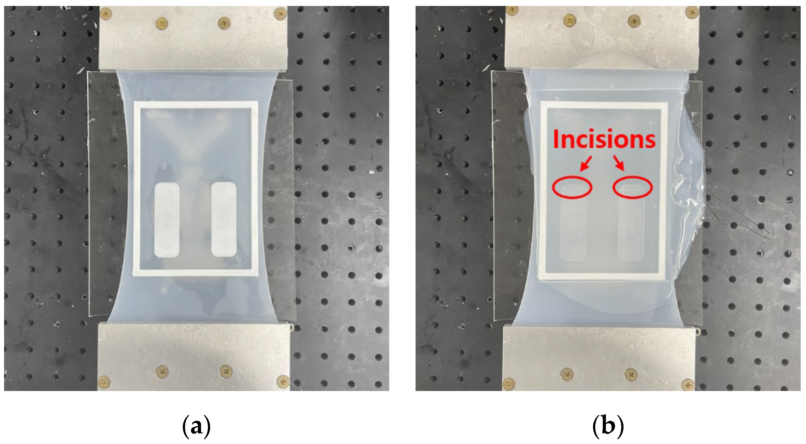 Applsci 11 05891 g006