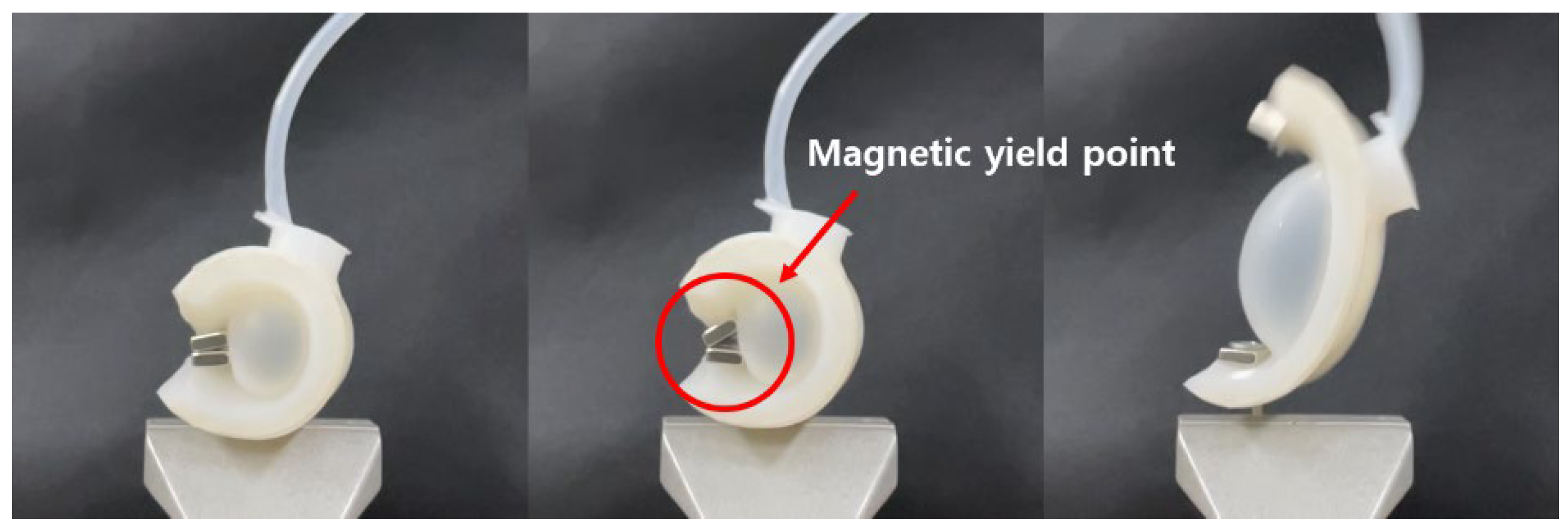 Applsci 11 05891 g012