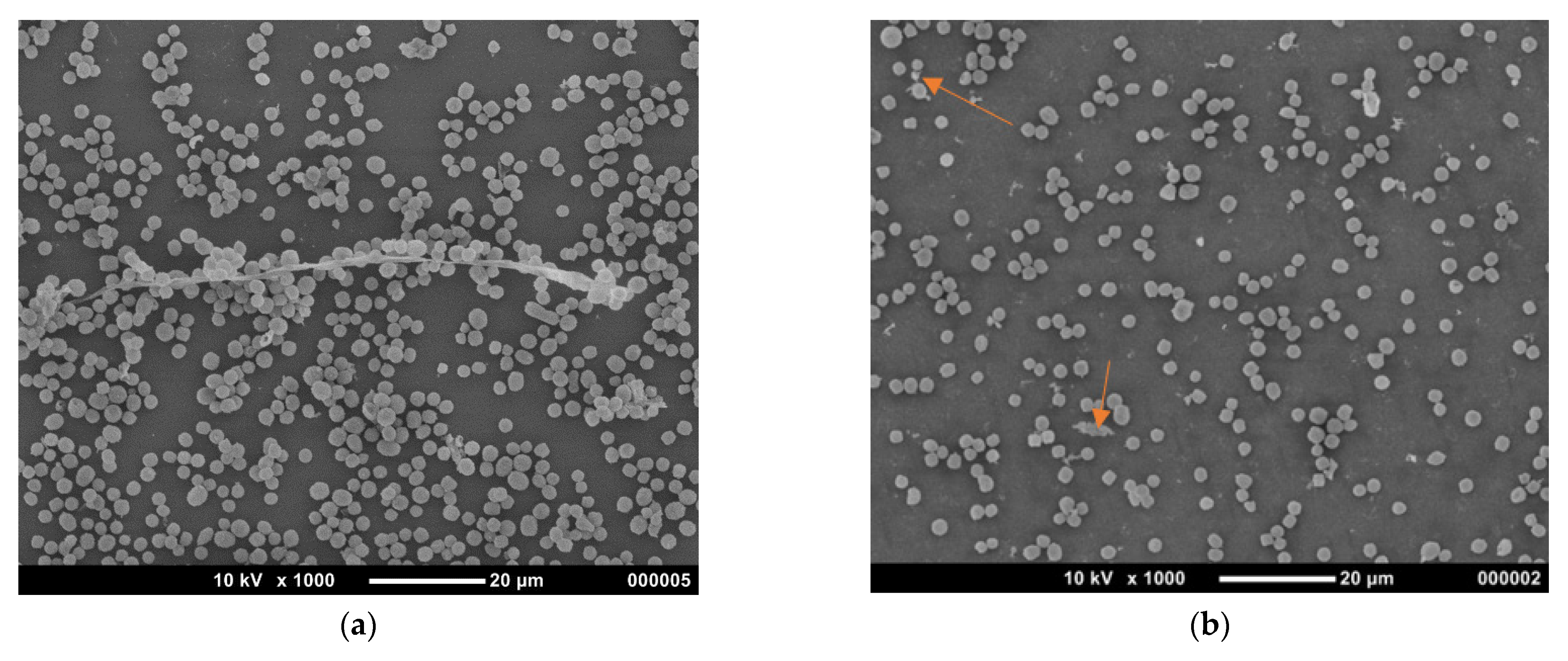 Applsci 11 05902 g004a