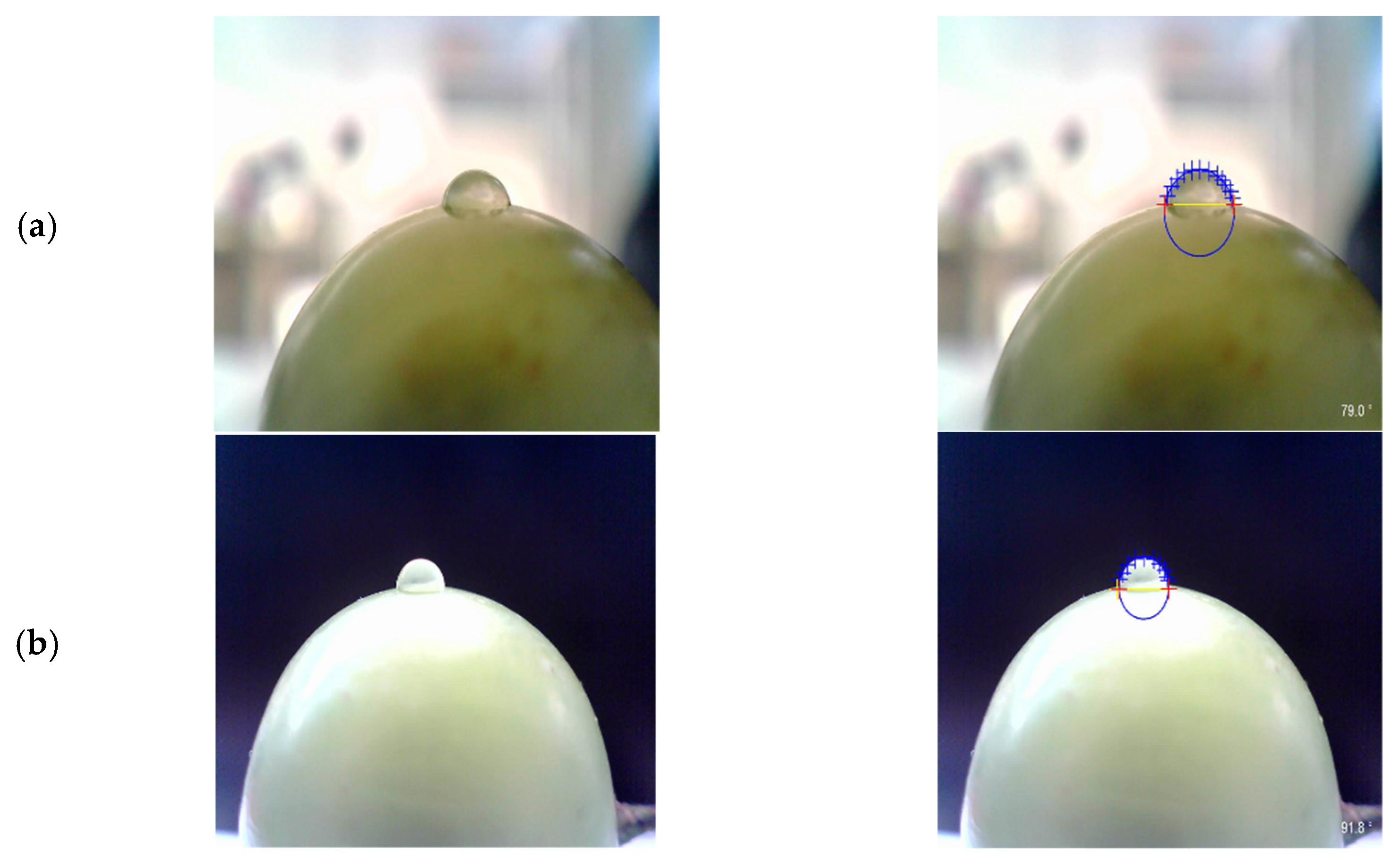 Applsci 11 05904 g007a