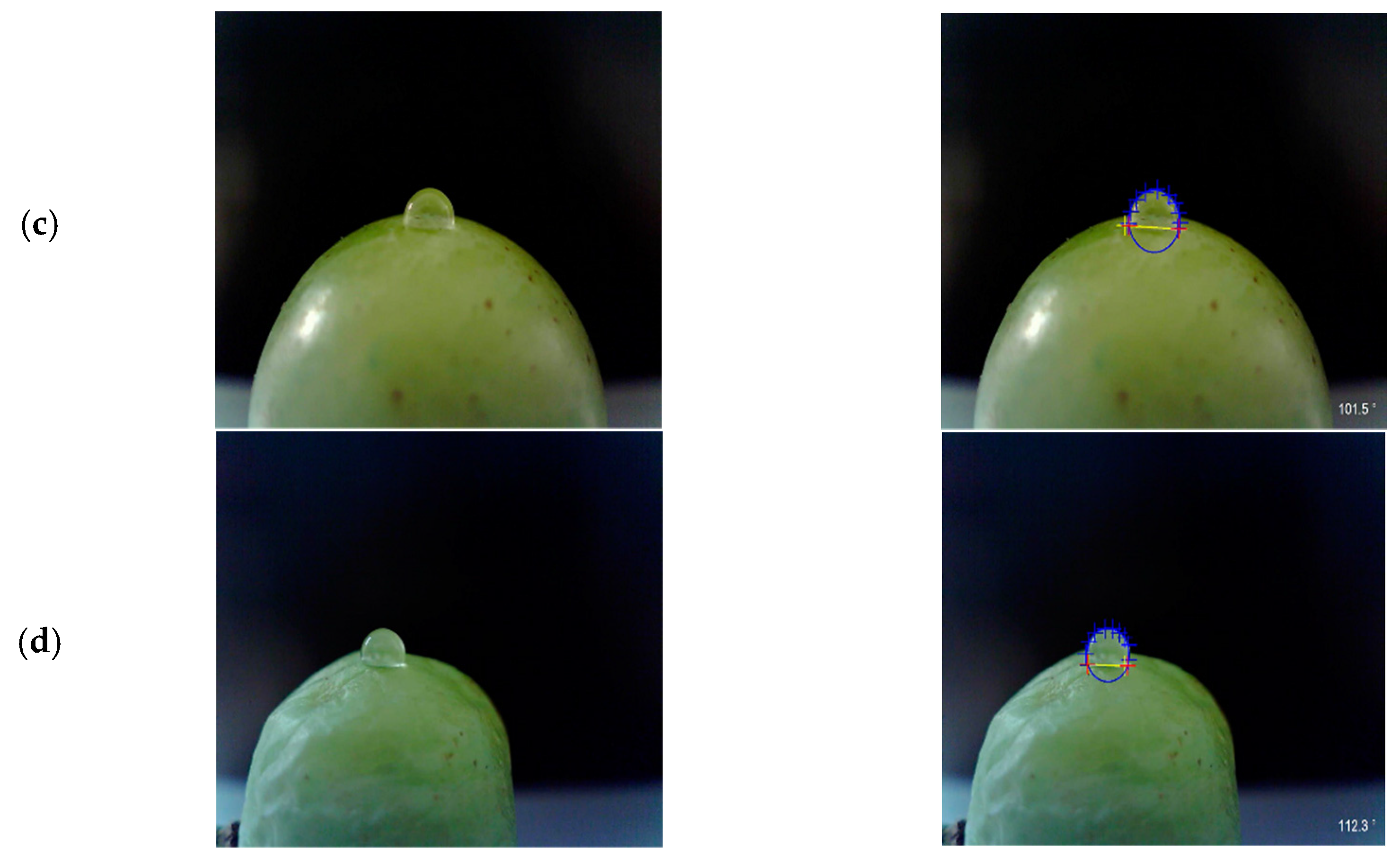 Applsci 11 05904 g007b