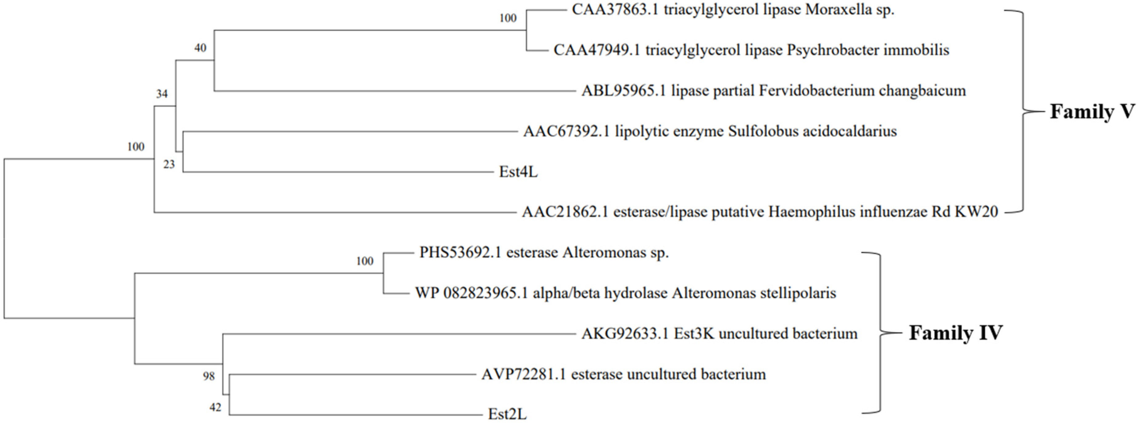 Applsci 11 05905 g001