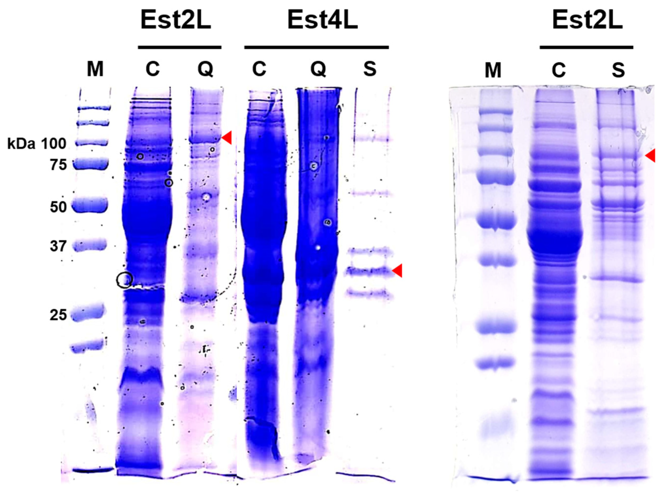 Applsci 11 05905 g003