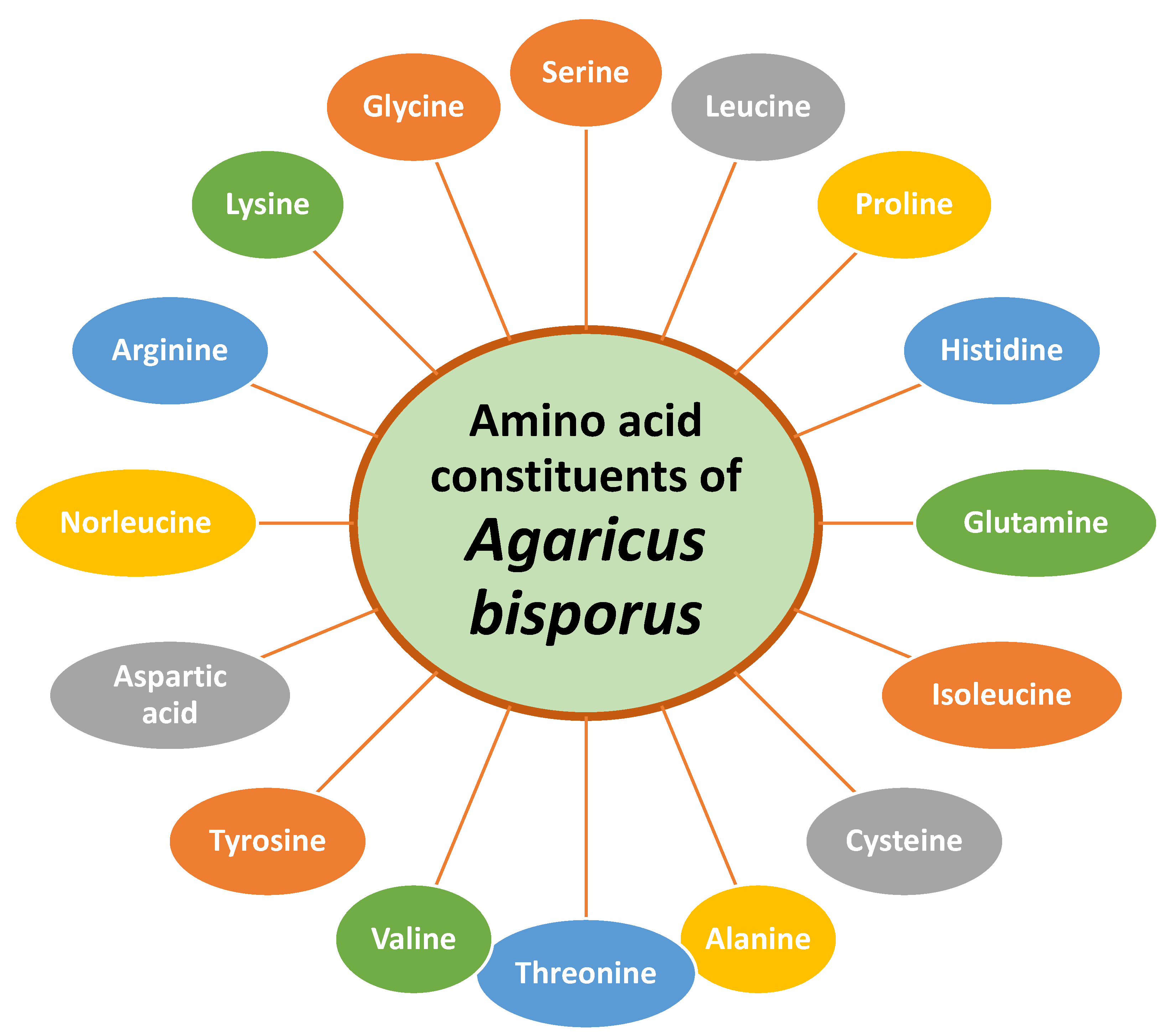 Applsci 11 05943 g002