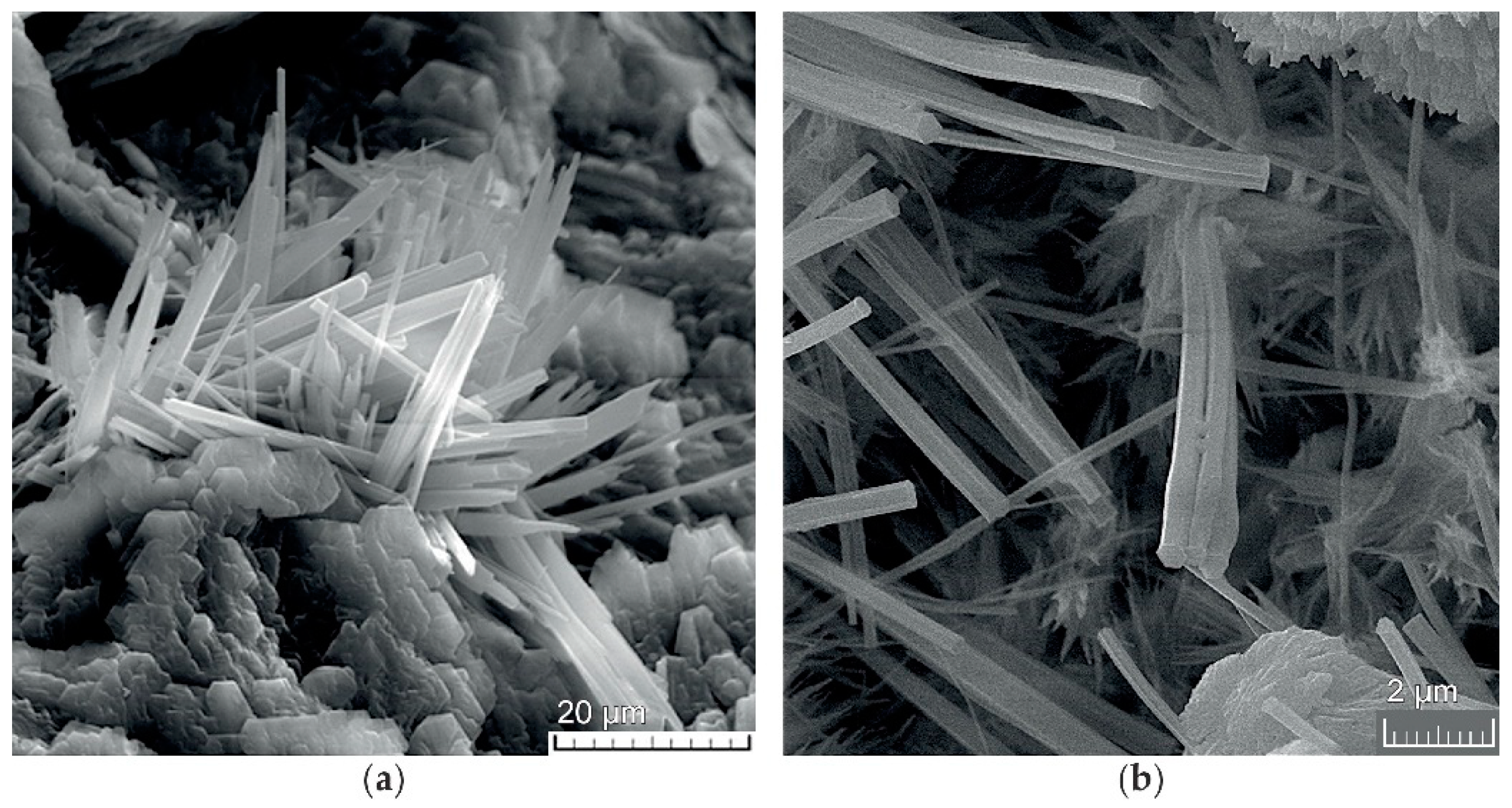 Applsci 11 05945 g001