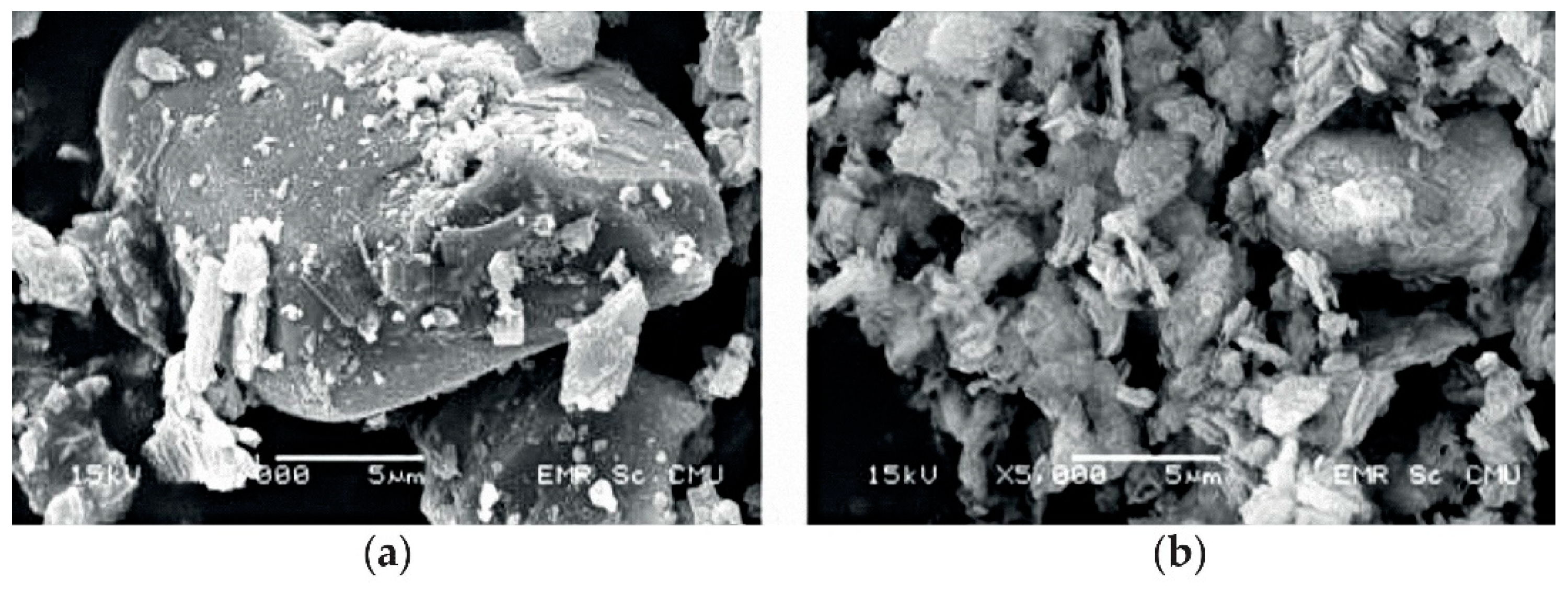 Applsci 11 05945 g003