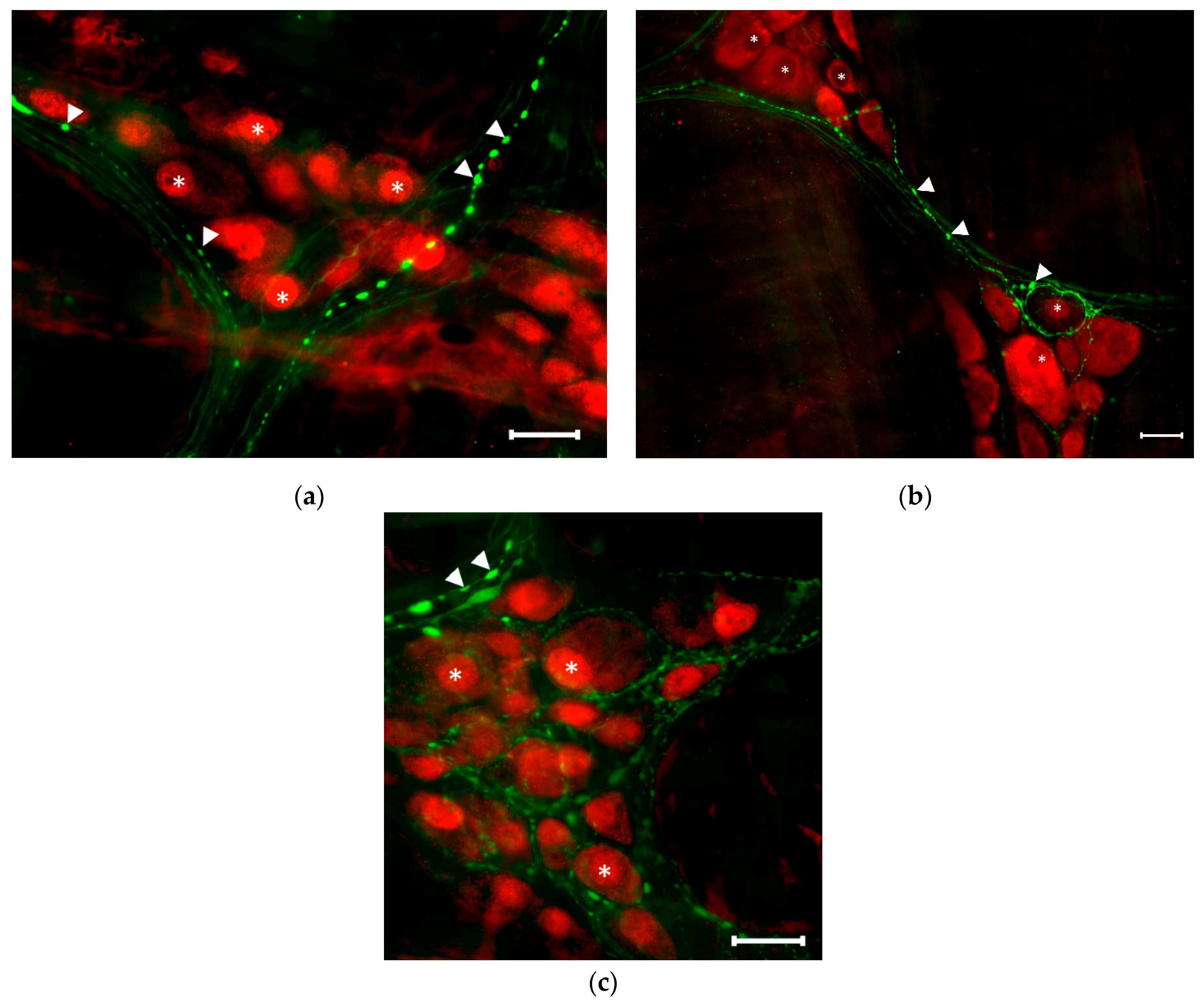 Applsci 11 05949 g005