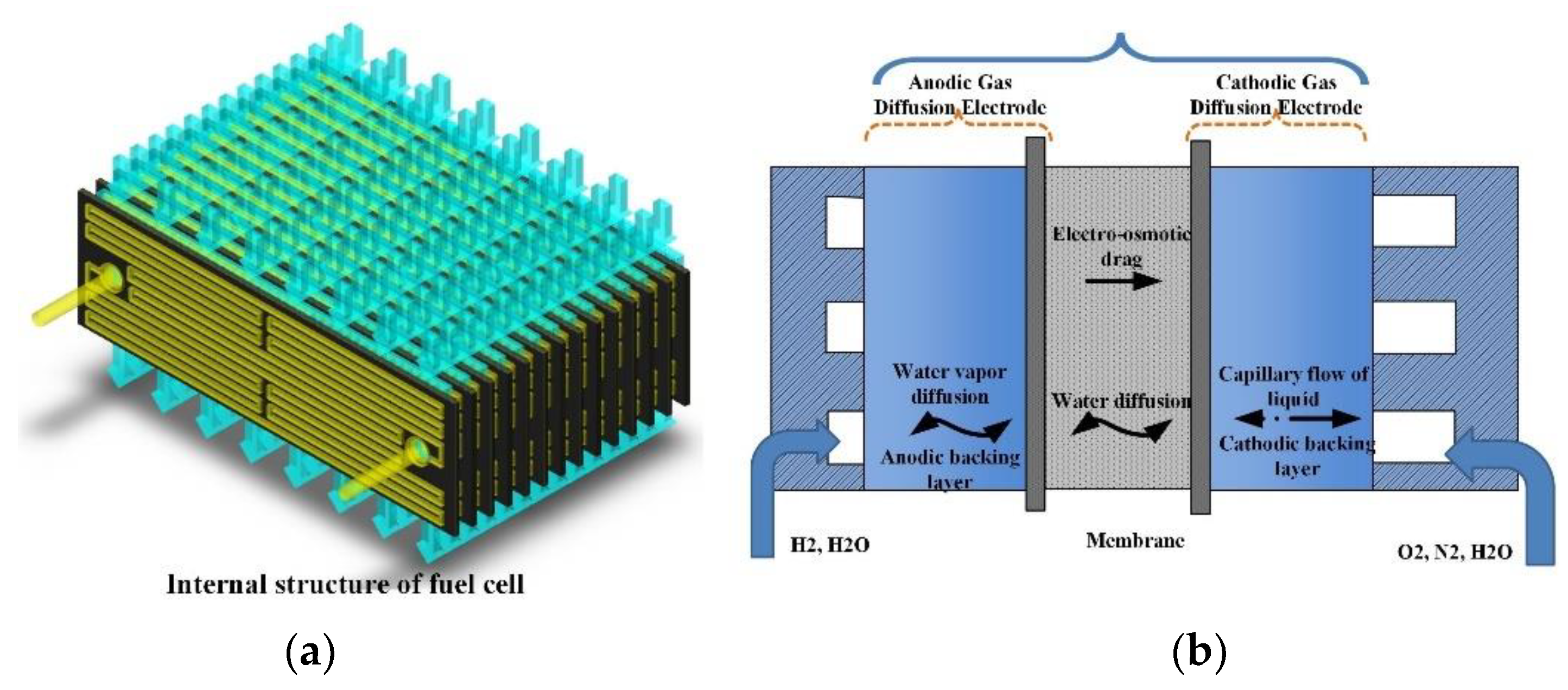 Applsci 11 05964 g001