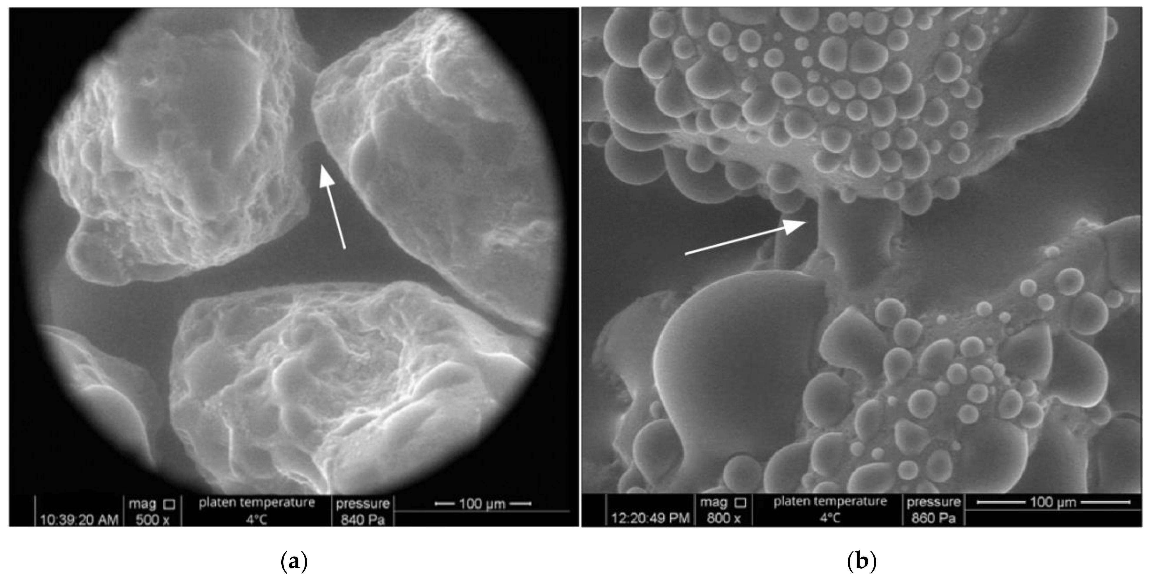 Applsci 11 05966 g007