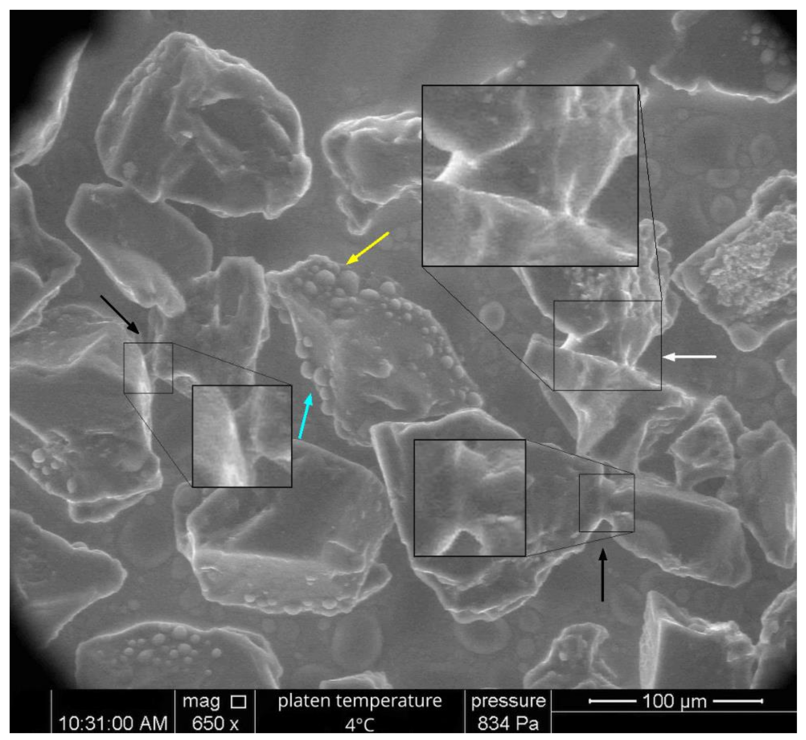 Applsci 11 05966 g009