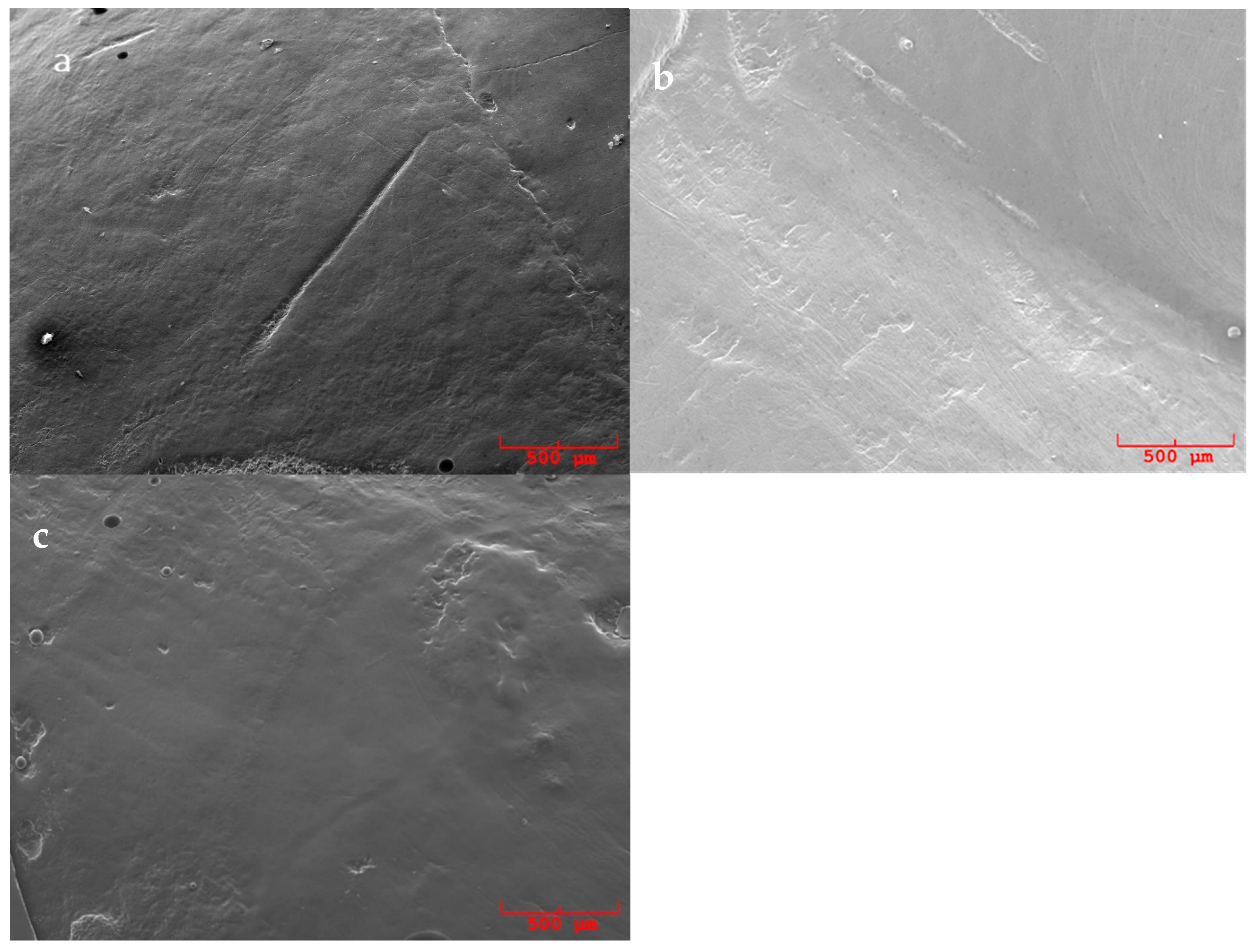 Applsci 11 05967 g002