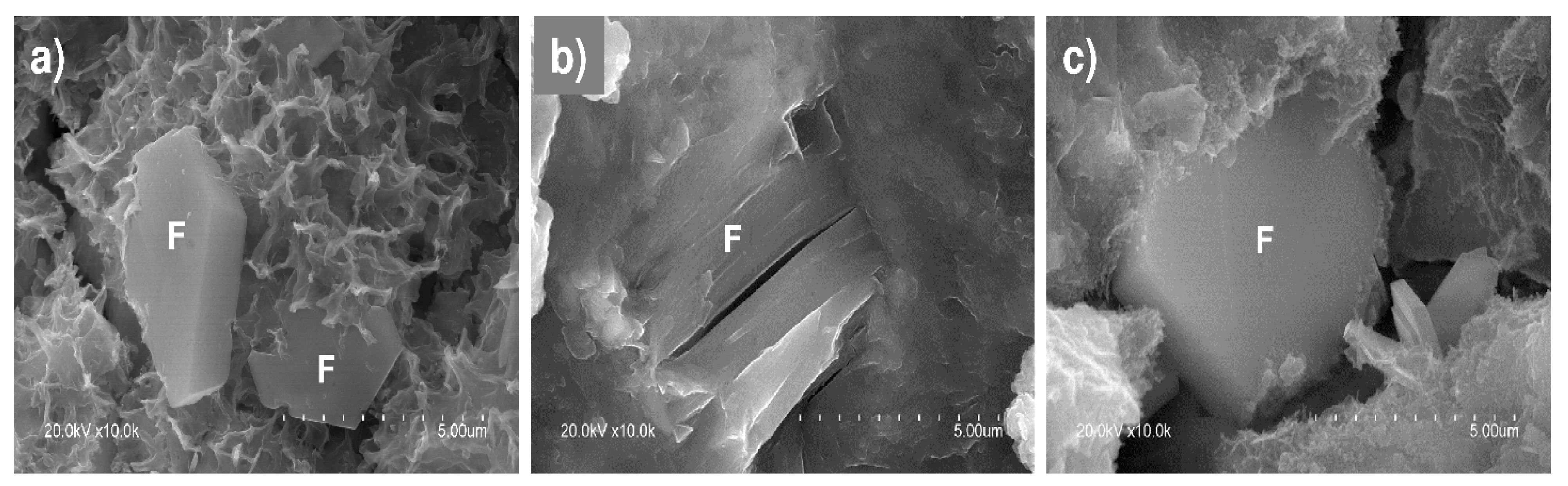 Applsci 11 05977 g010