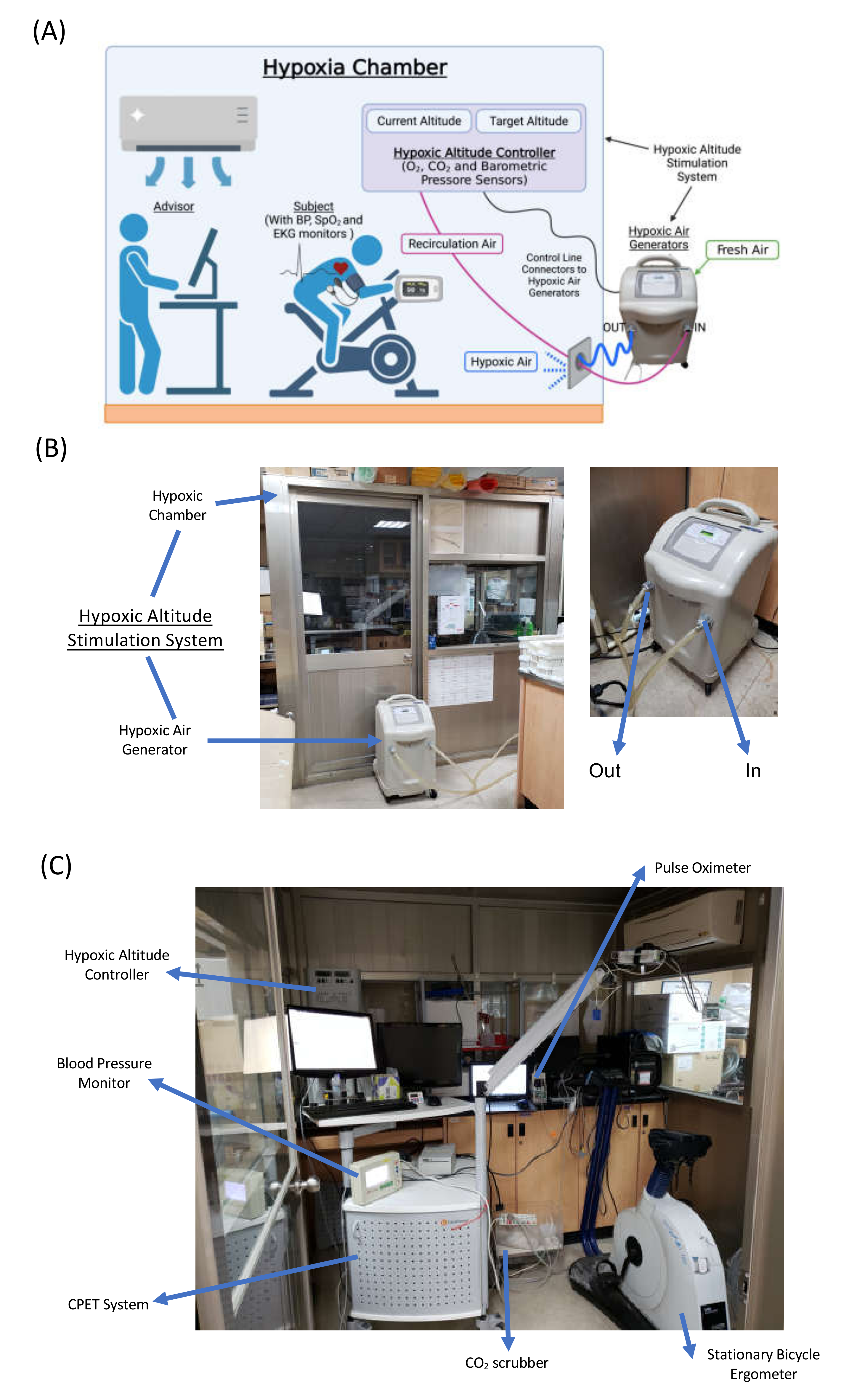 Applsci 11 06038 g001