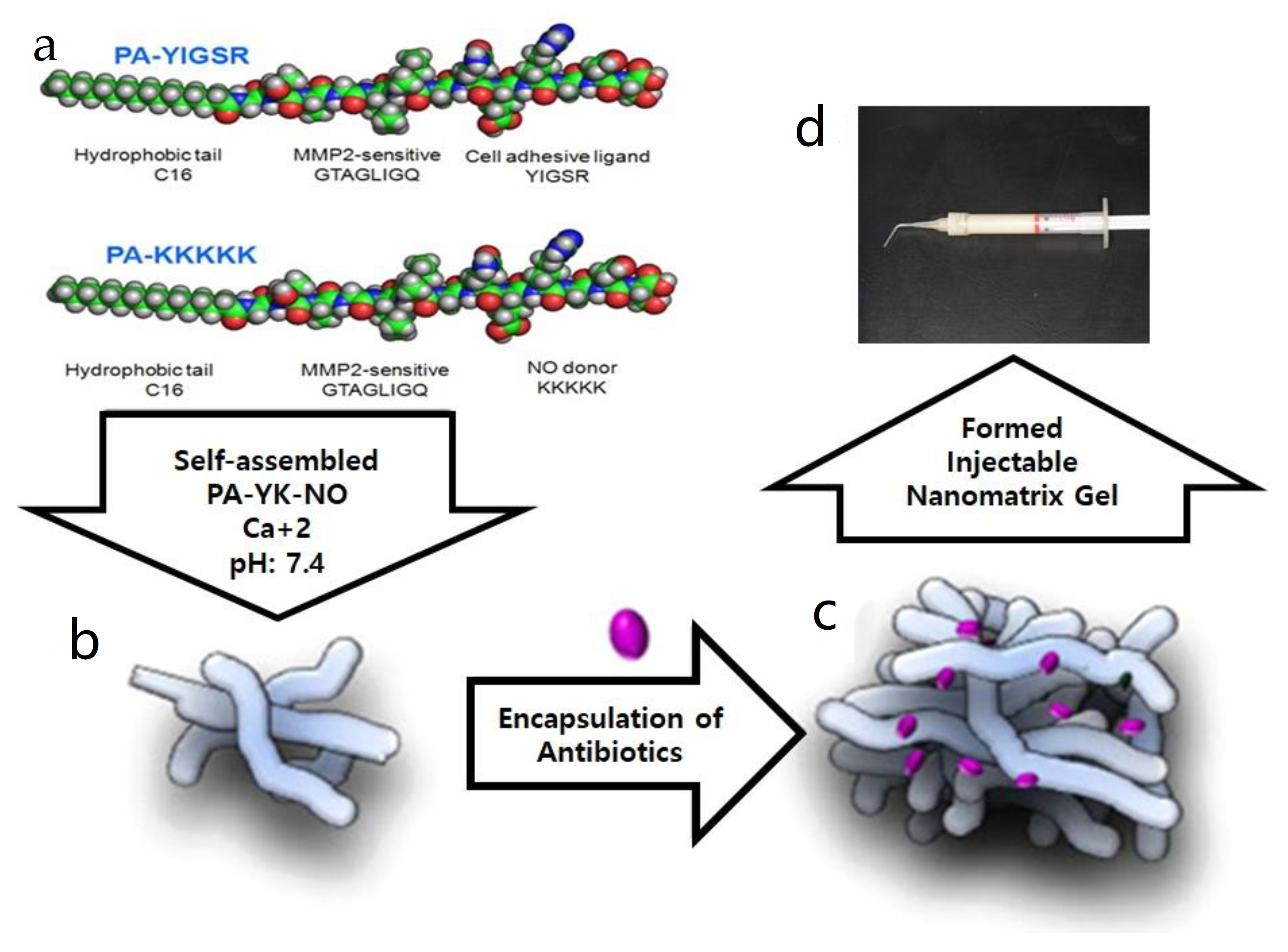 Applsci 11 06041 g001