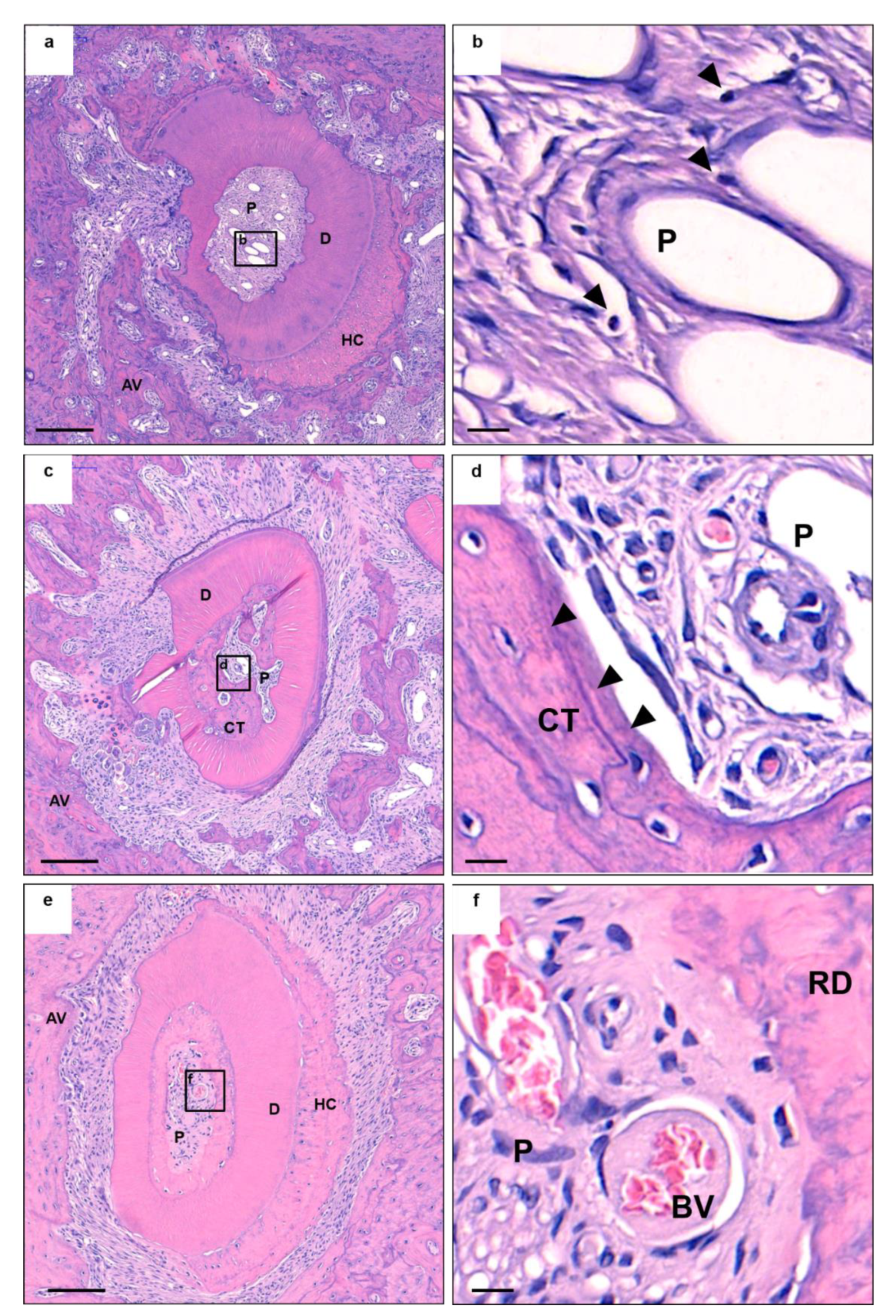 Applsci 11 06041 g002