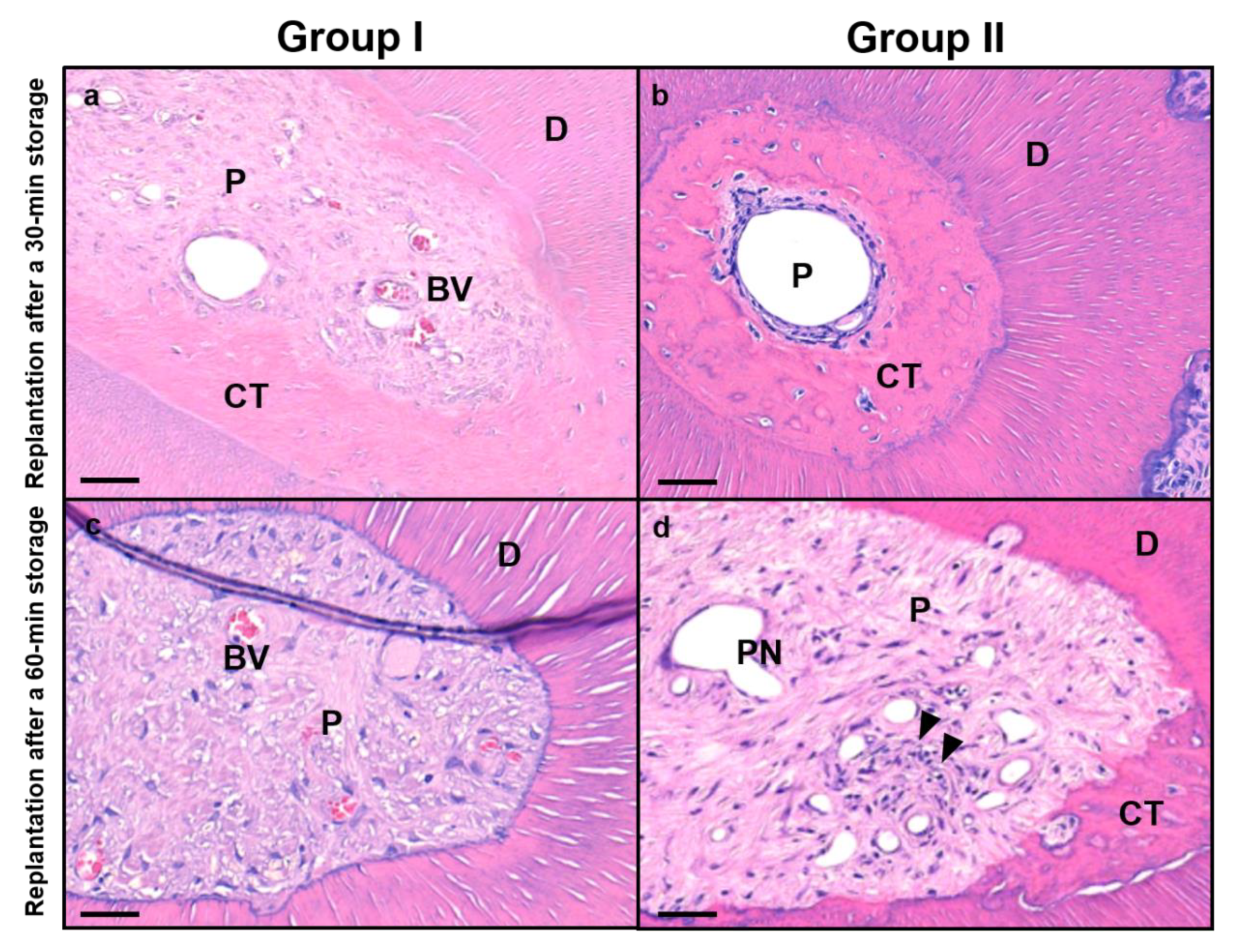 Applsci 11 06041 g003