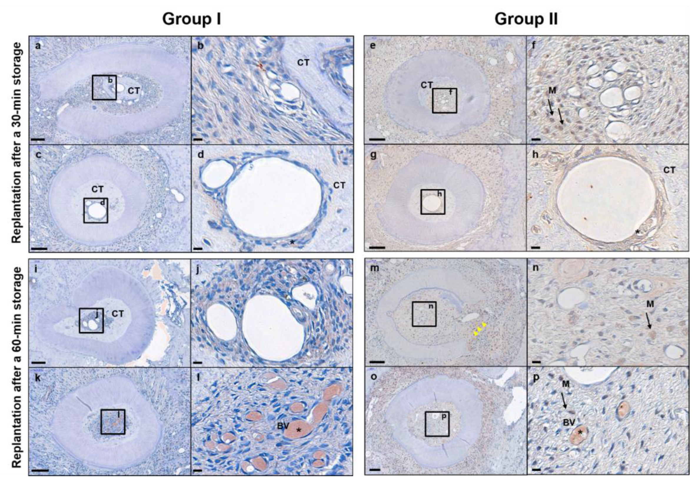 Applsci 11 06041 g004