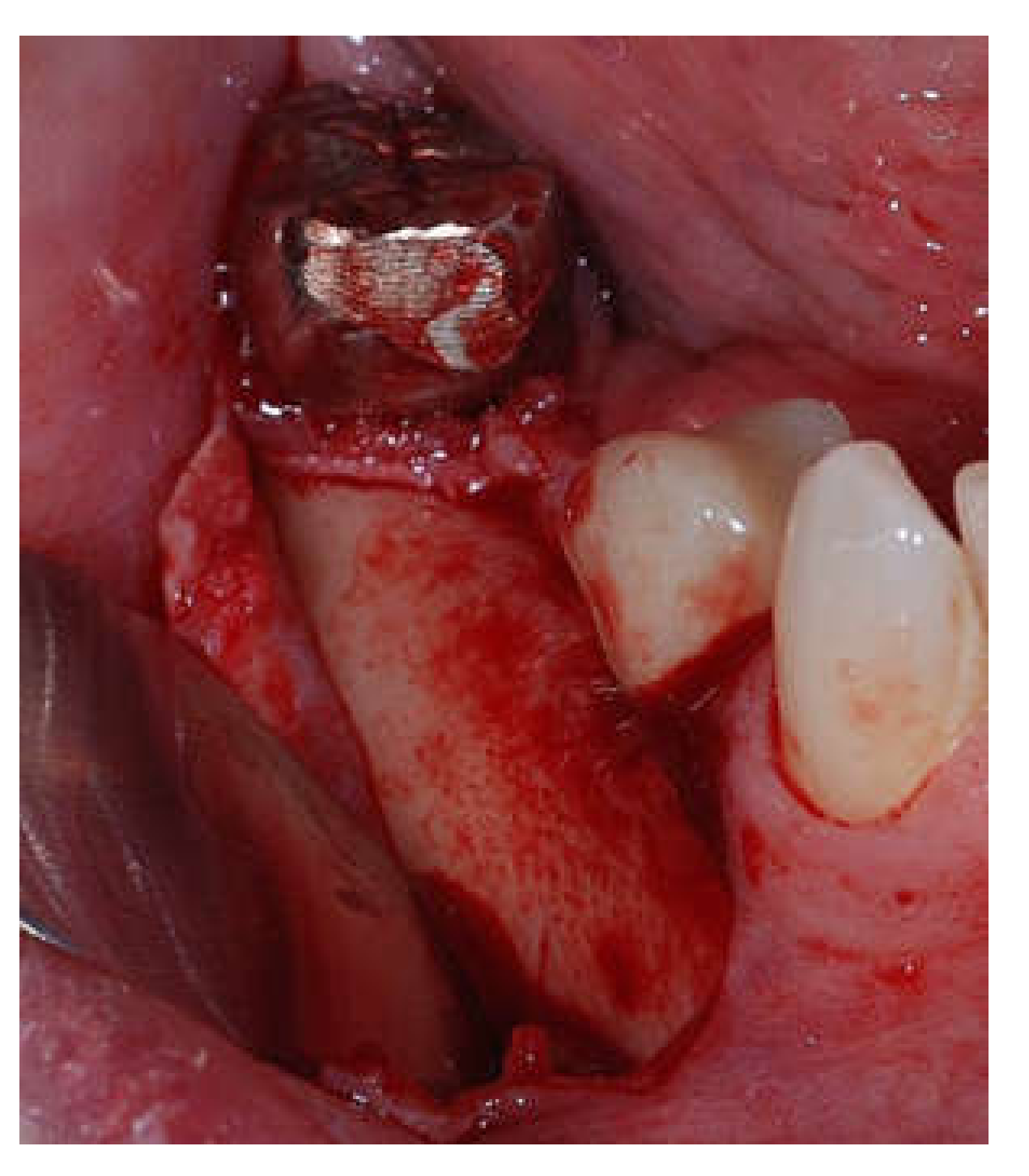 Applsci 11 06054 g003