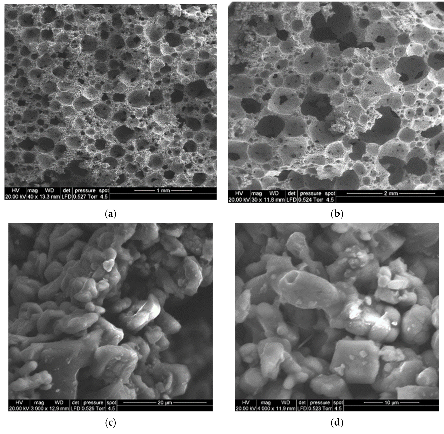 Applsci 11 06056 g005