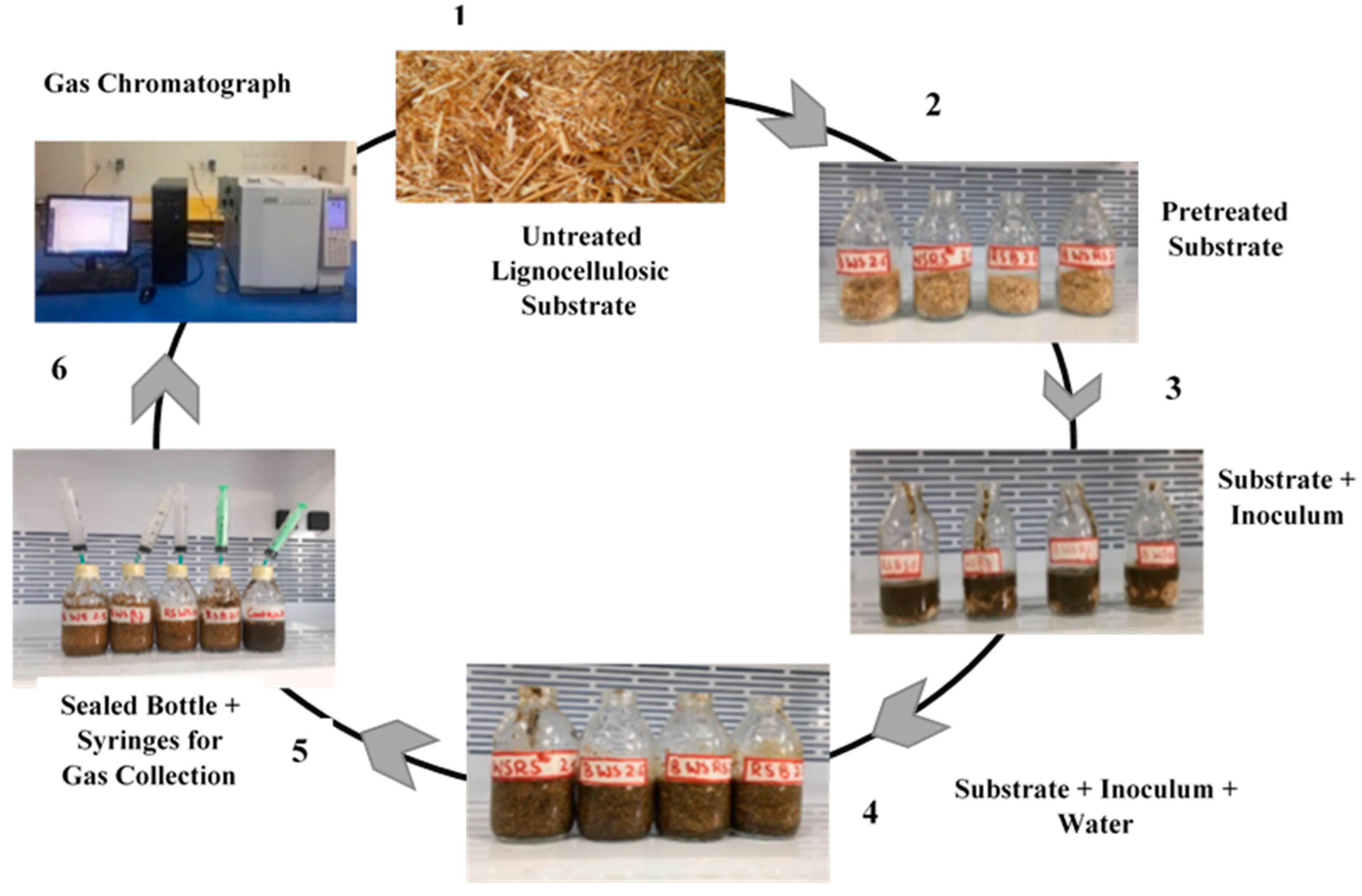 Applsci 11 06069 g001