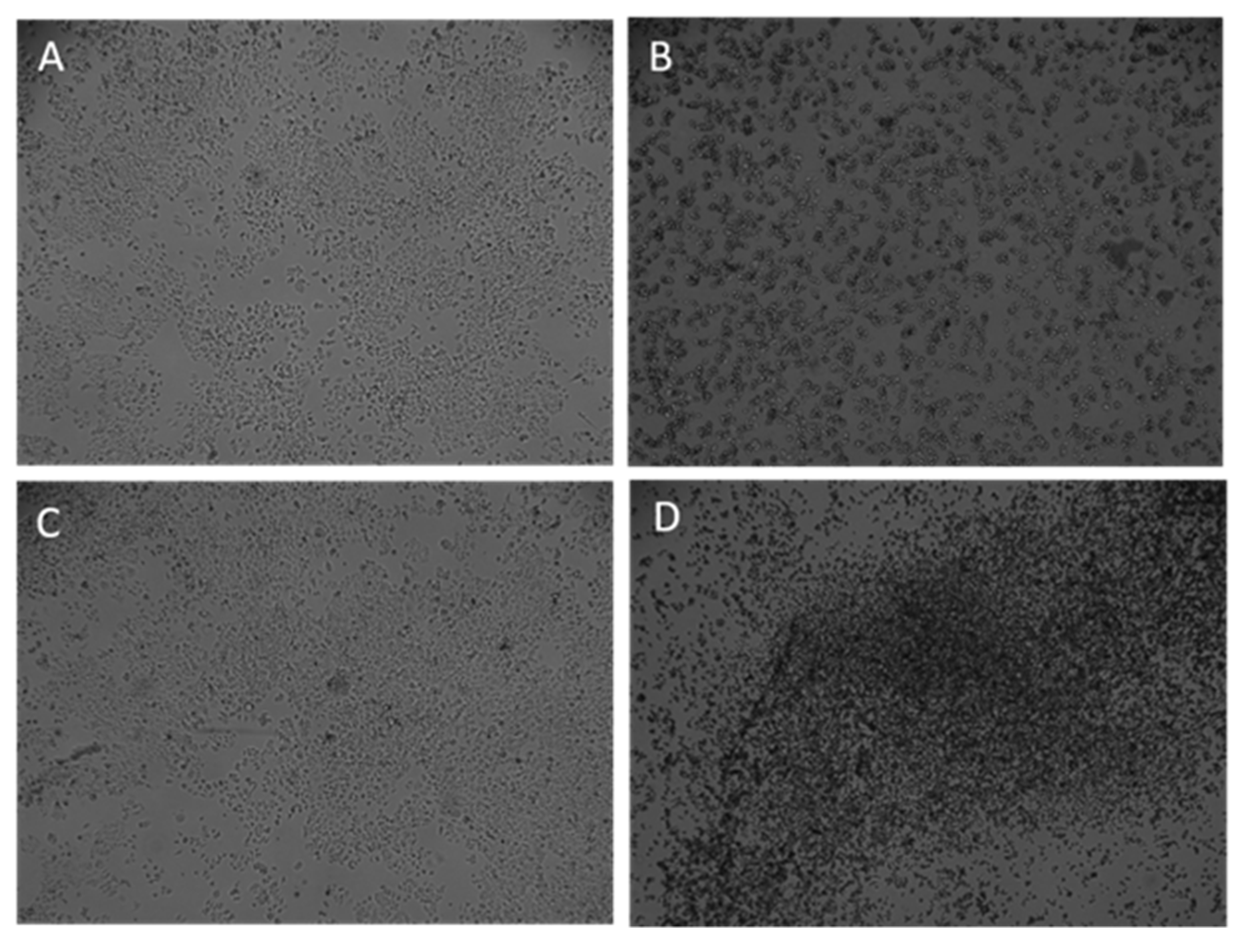 Applsci 11 06082 g002