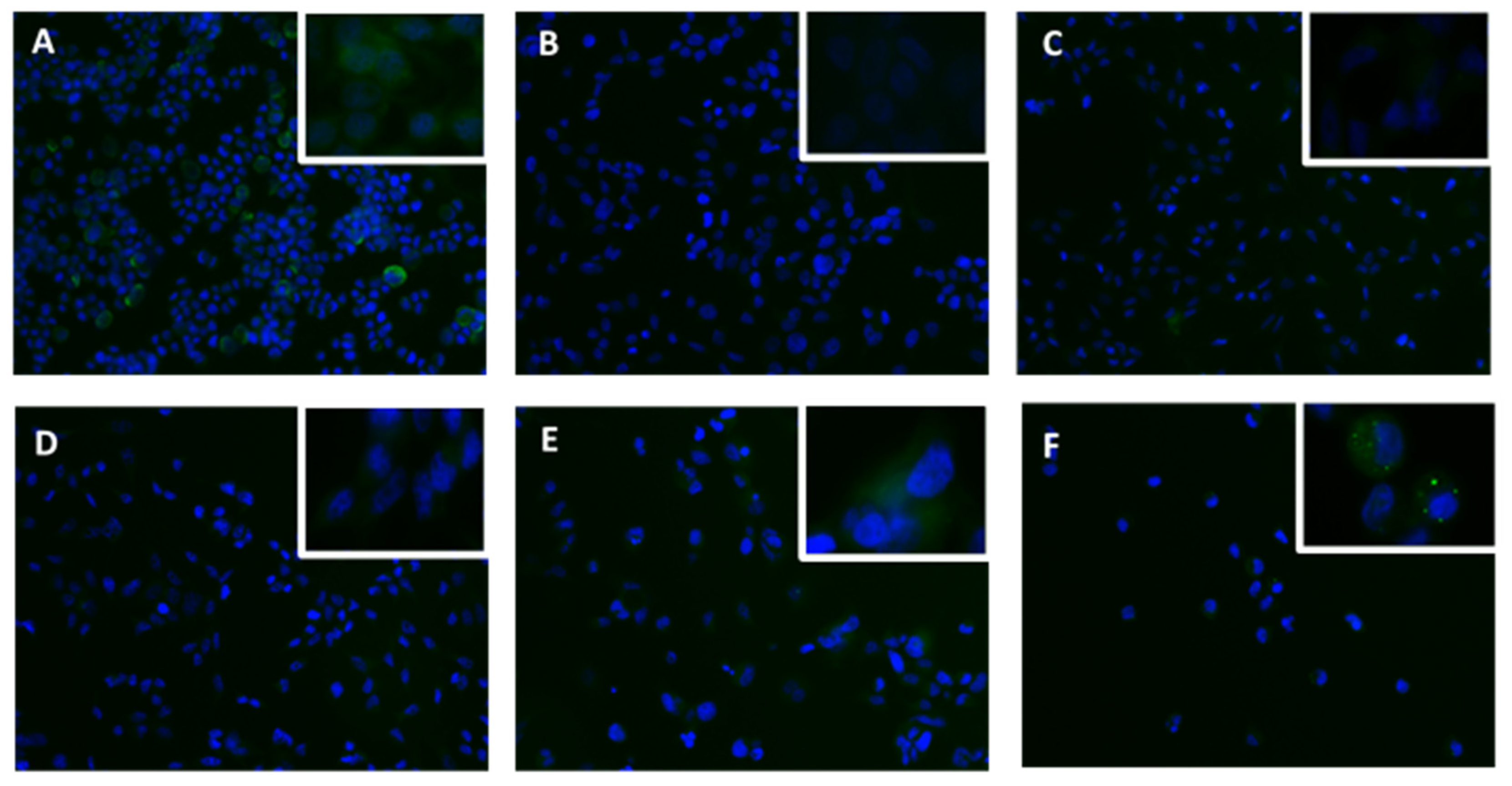 Applsci 11 06082 g020