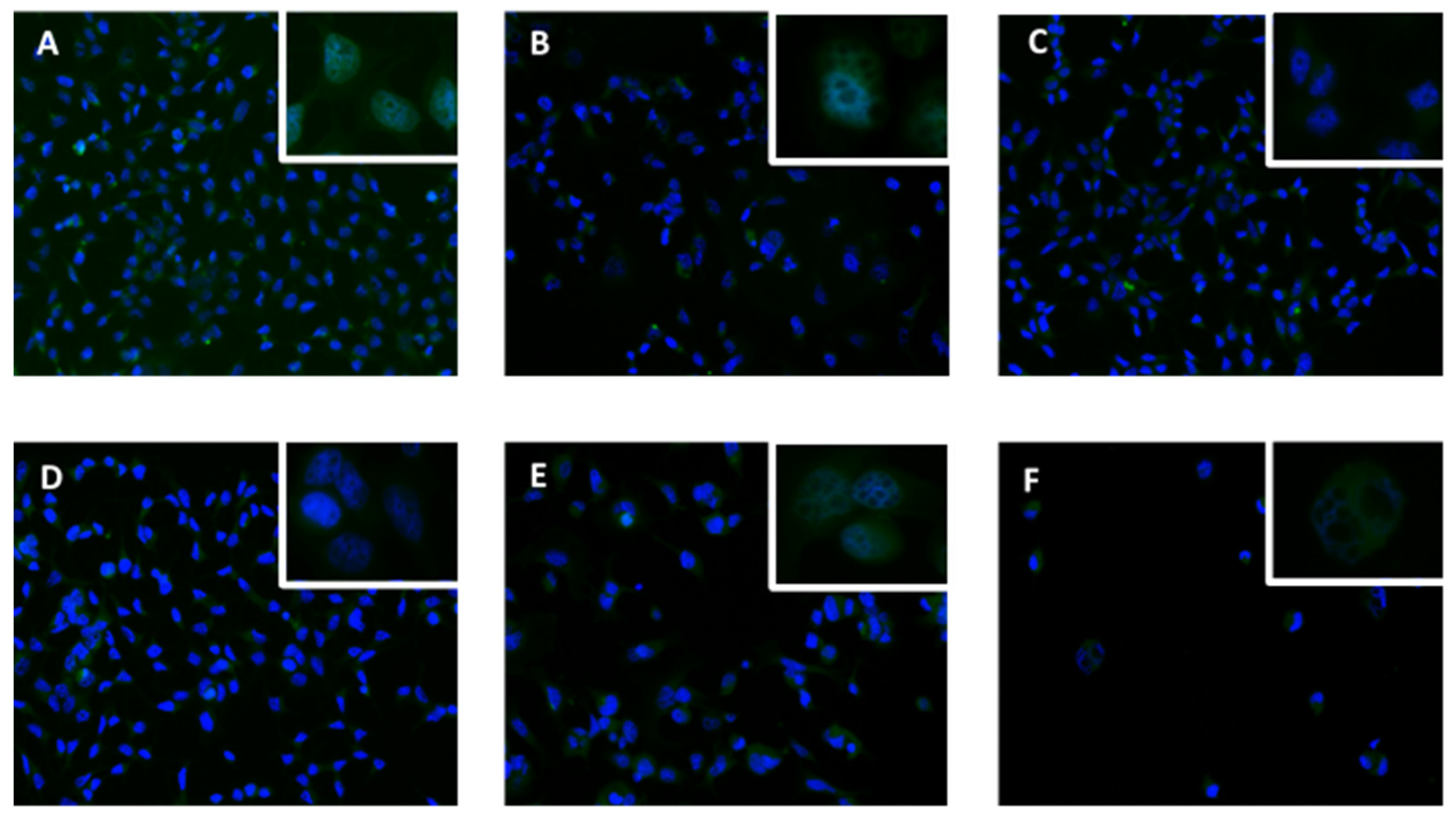 Applsci 11 06082 g021