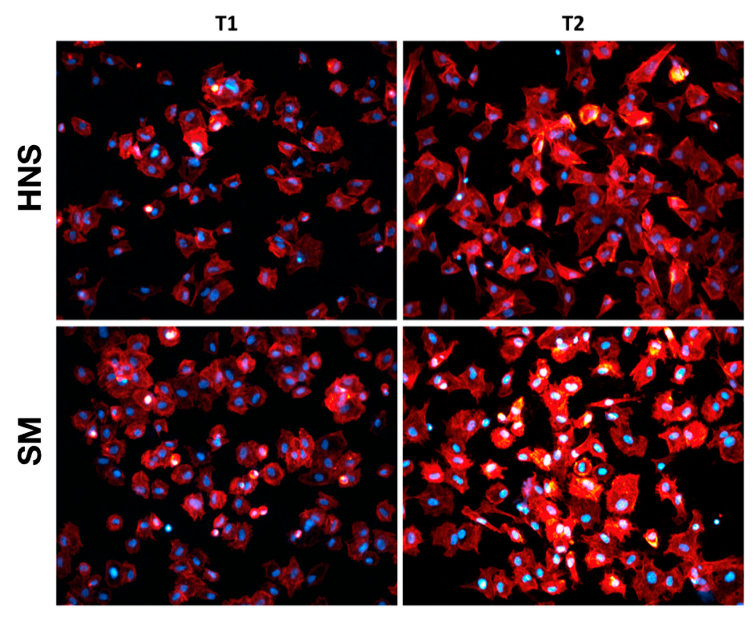 Applsci 11 06120 g002