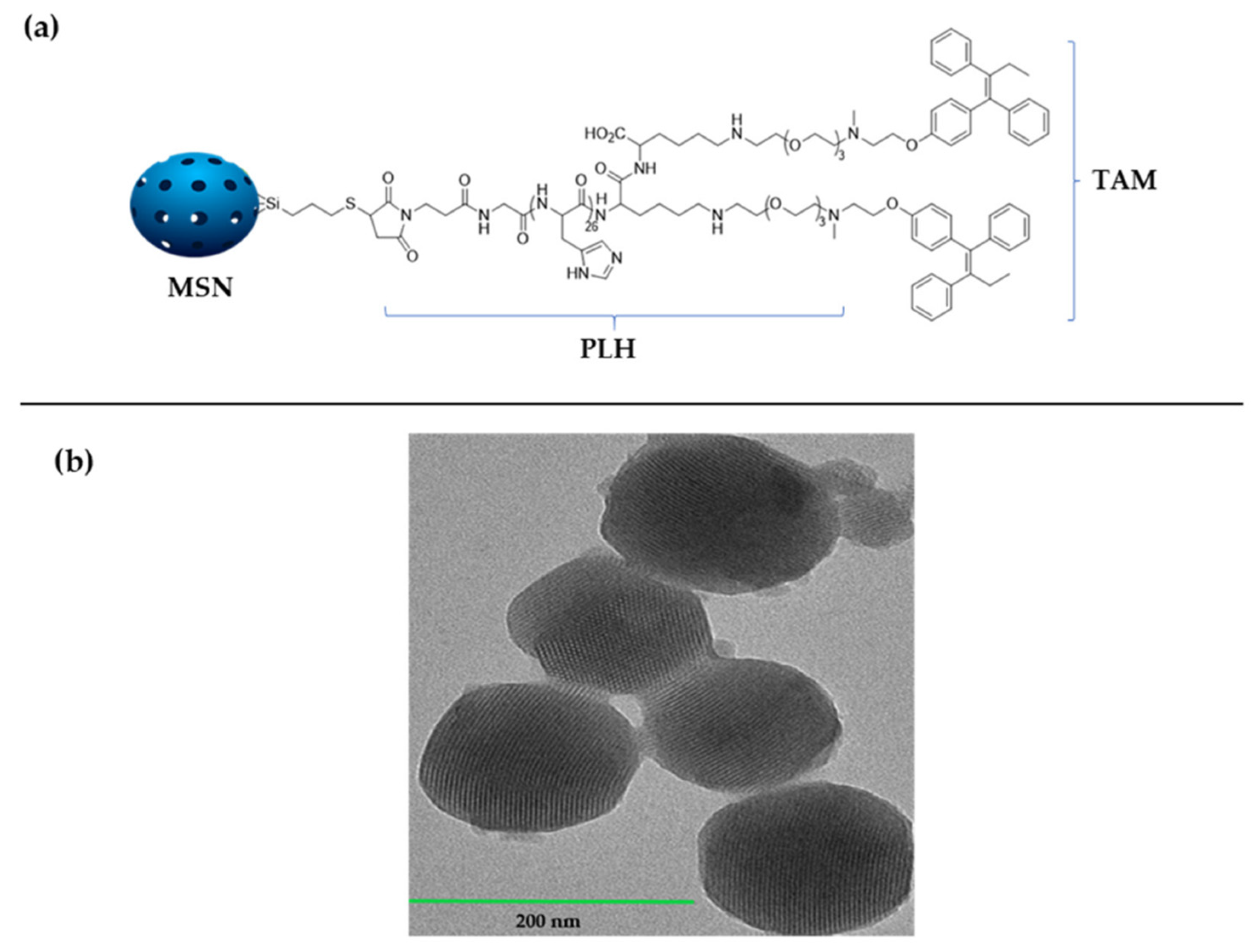 Applsci 11 06121 g001