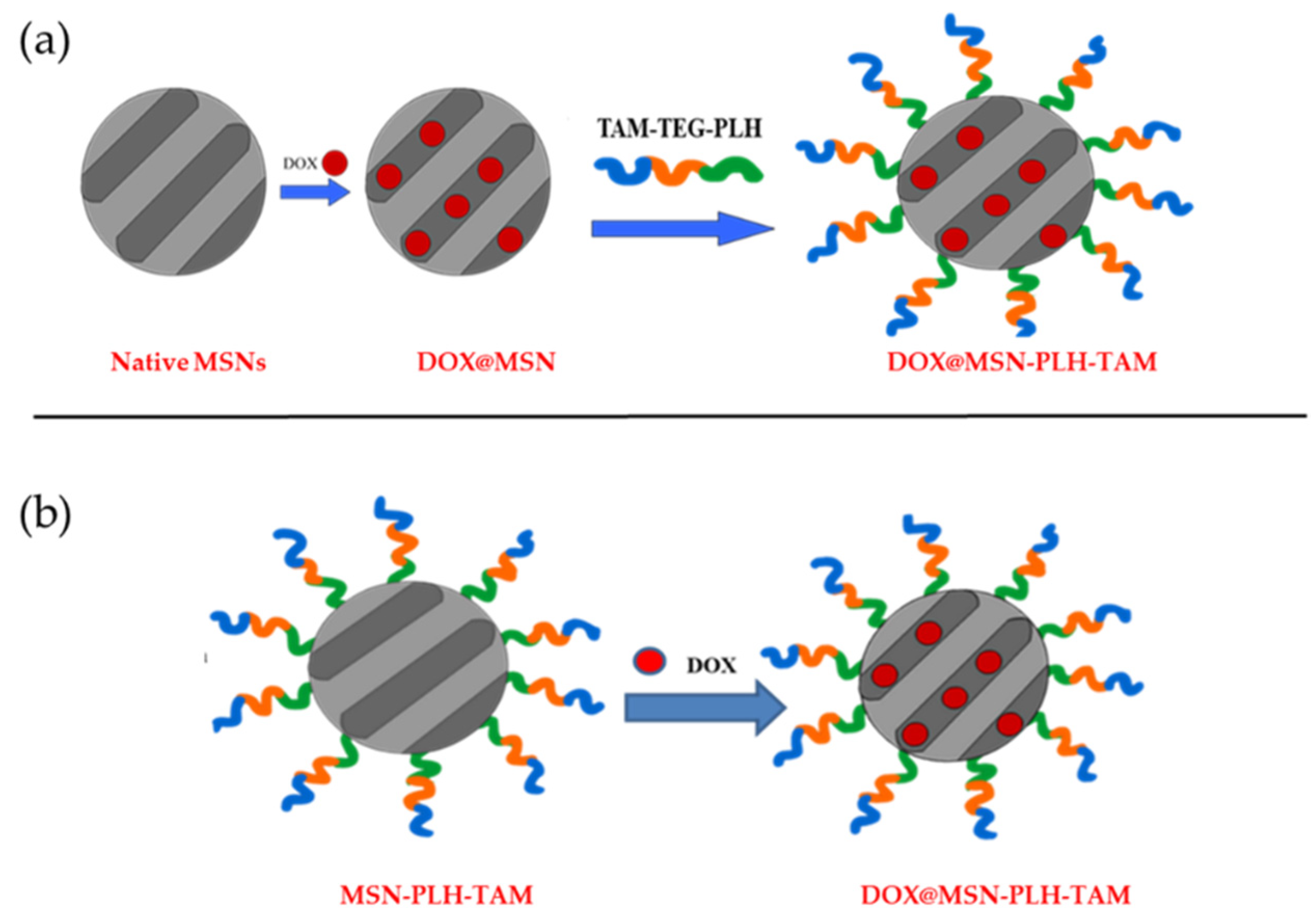 Applsci 11 06121 g002