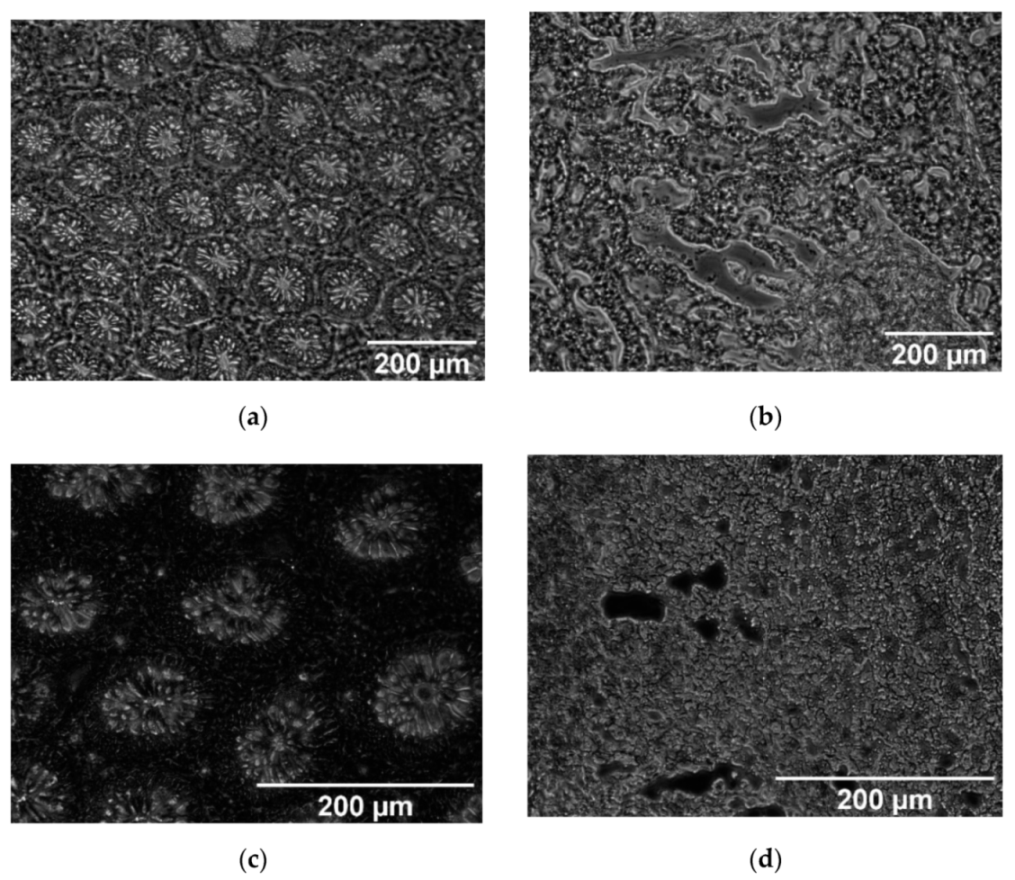 Applsci 11 06142 g002a