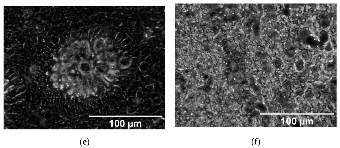 Applsci 11 06142 g002b