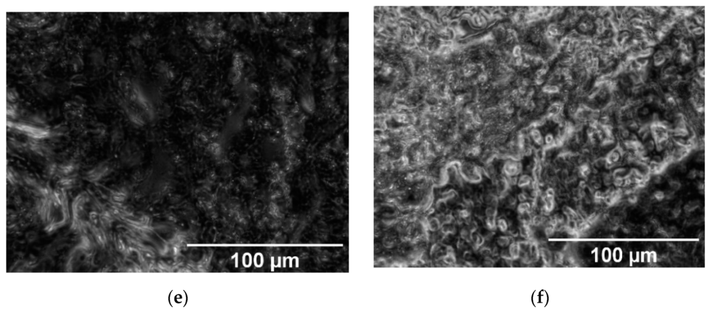 Applsci 11 06142 g003b