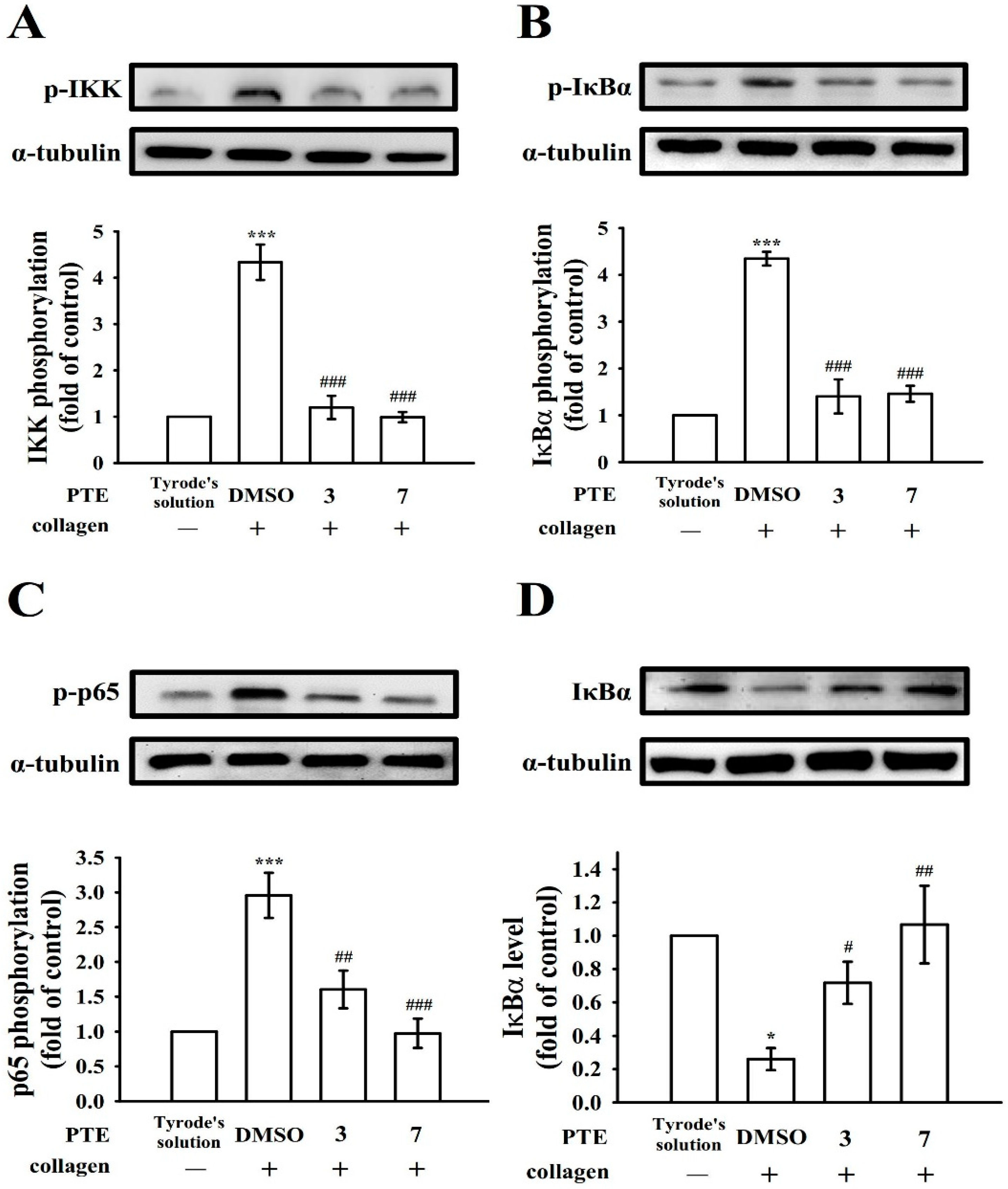 Applsci 11 06149 g002