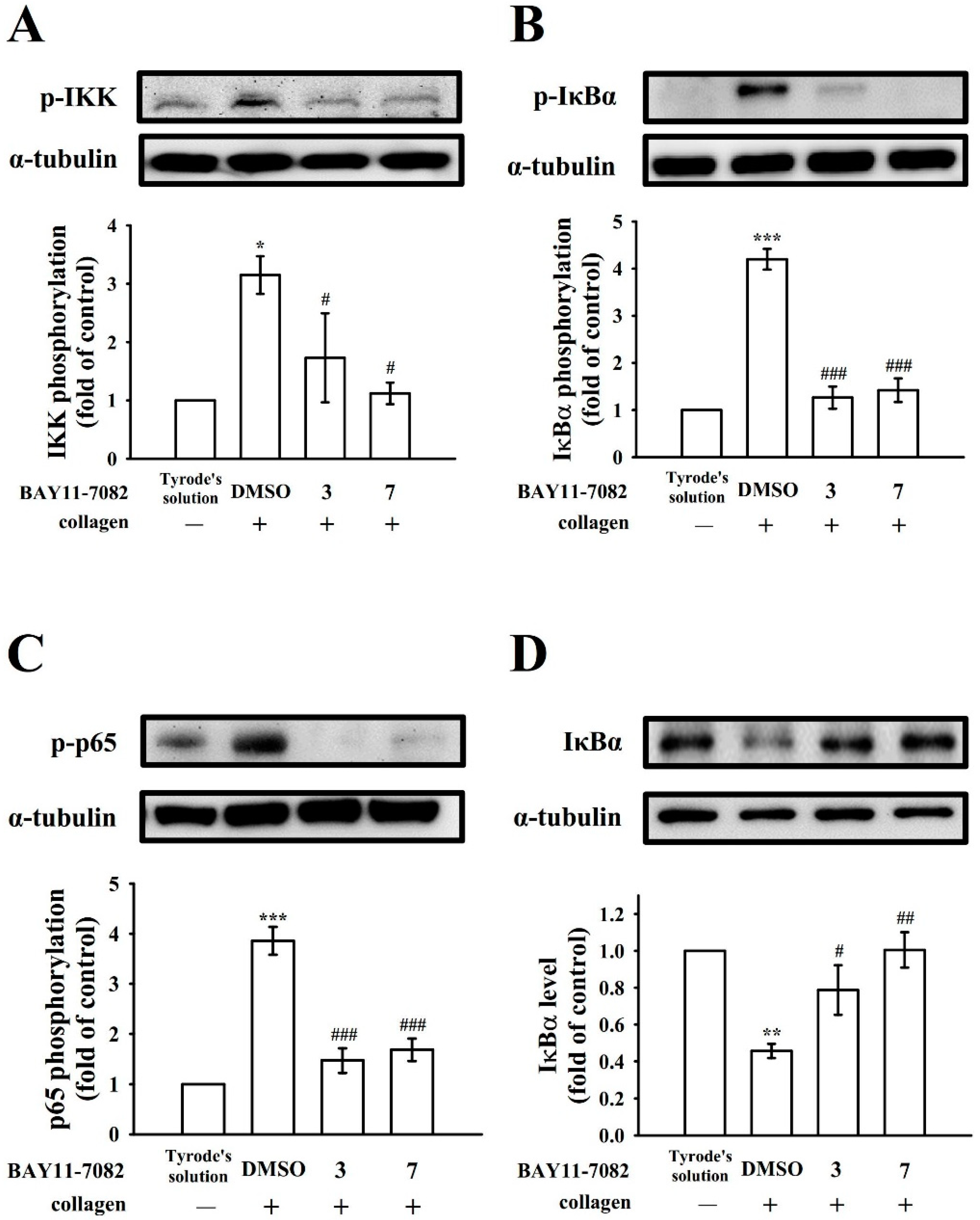 Applsci 11 06149 g003