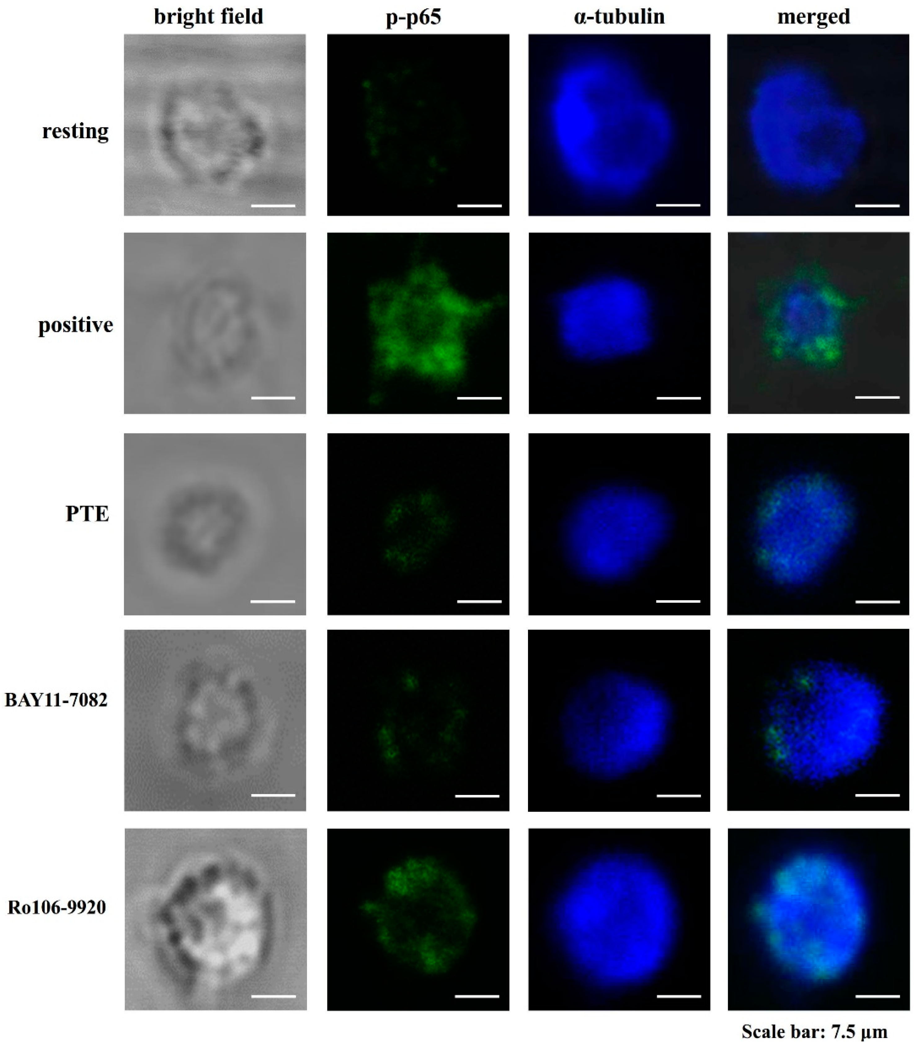 Applsci 11 06149 g005