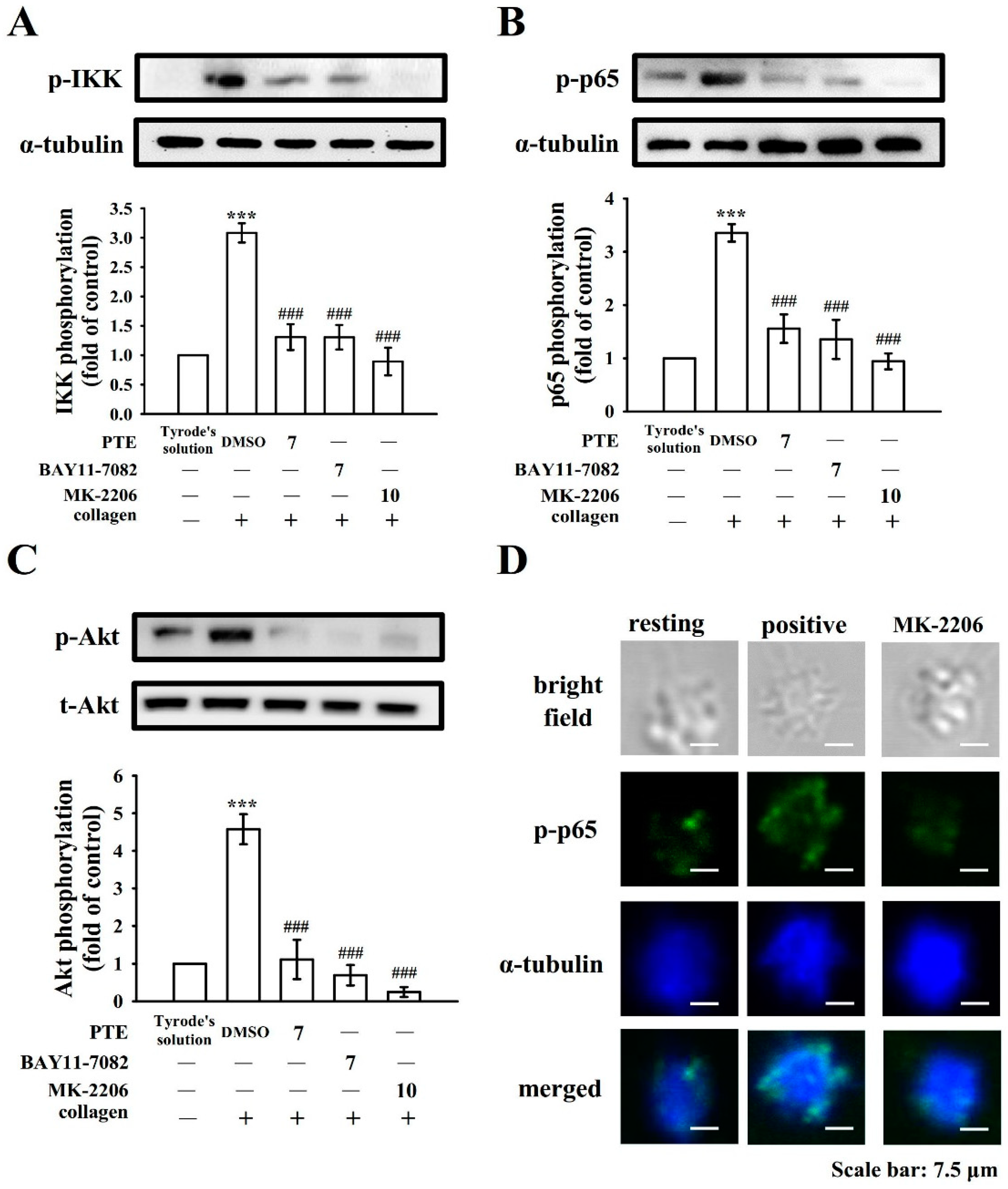 Applsci 11 06149 g006
